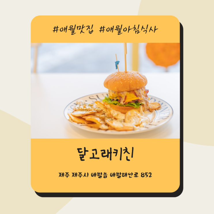 애월 제주브런치카페 달고래키친 귀여운 고래 인테리어