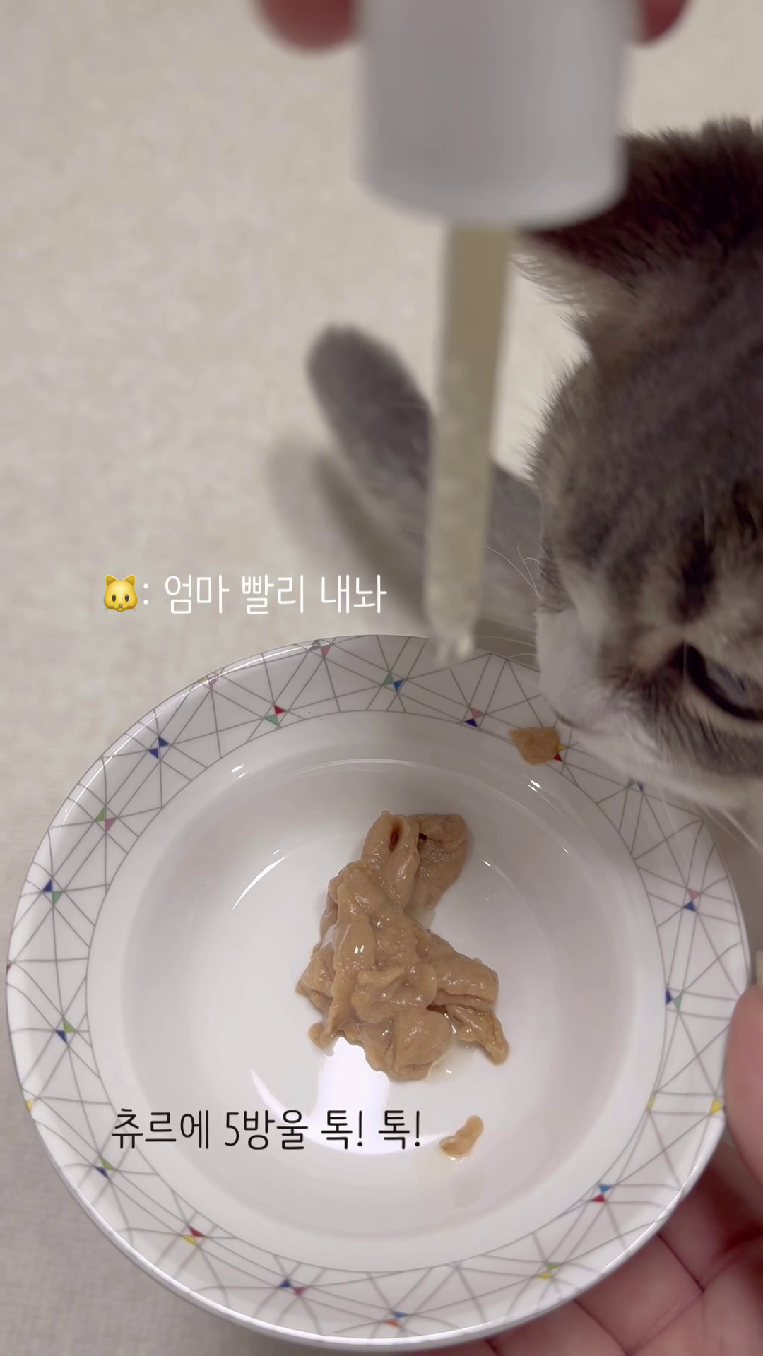 콘텐츠