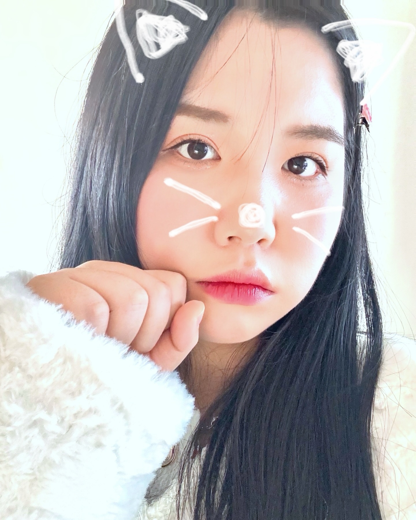 냐옹? 냥냥펀치🐱

#고양이 #Y2K #고양이필터