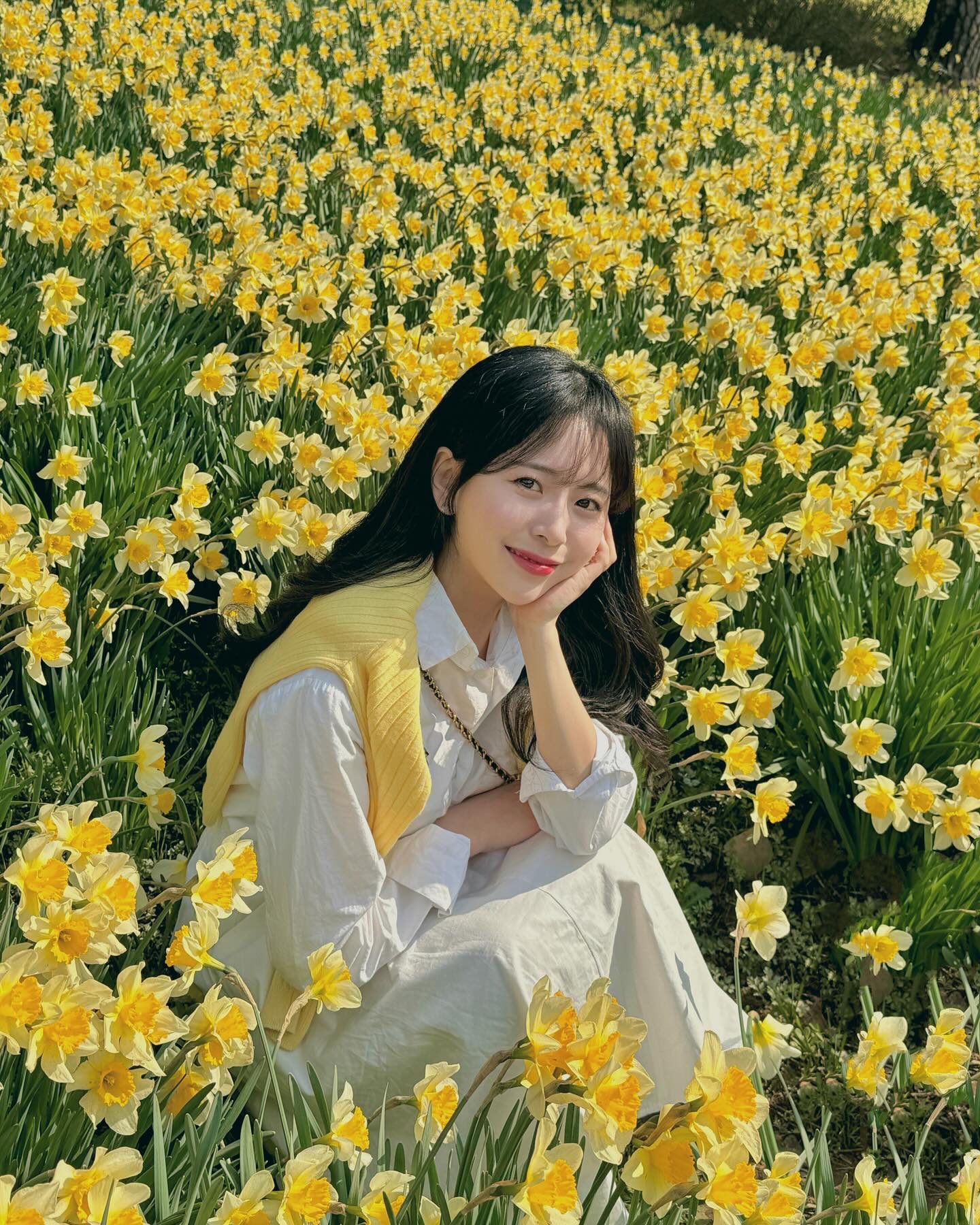 수선화에 반하다 .,🌼✨

전부터 가보고 싶었는데 드디어 다녀옴💛 완전 봄 그 자체라 기분 전환 제대로 했다! 엄~~청 넓어서 여기저기서 사진 찍고 산책하기에도 좋았던🫶🏻 삼각대 안 가져가도 다들 열정적으로 찍어주셔서 둘이 사진도 역대급 많이 남김 🤣 역시 사진은 한쿡인 ..🍯

#서산유기방가옥 #유기방가옥 #수선화