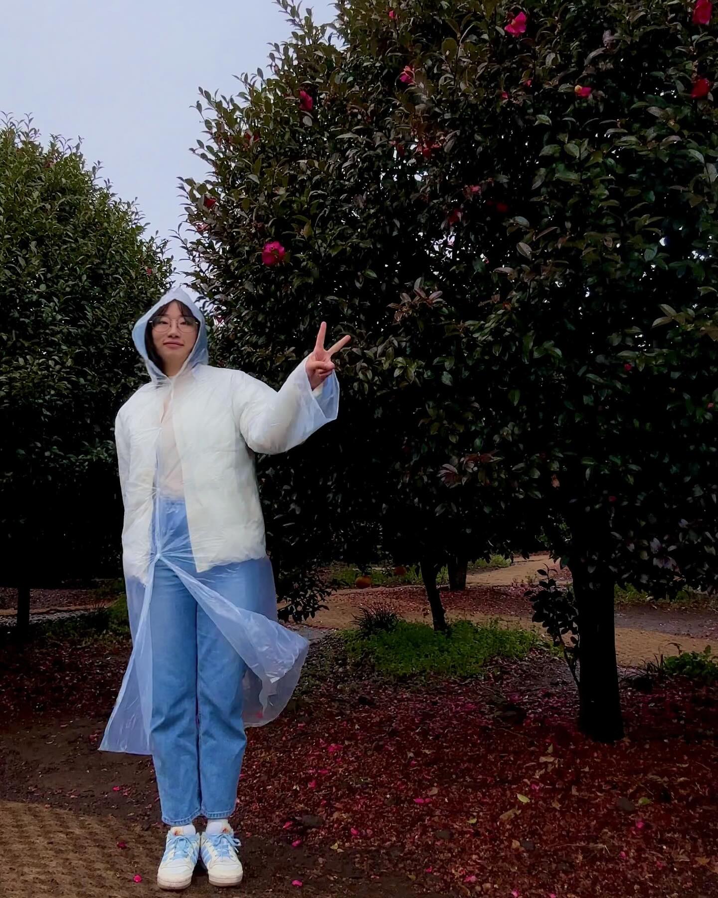 제주도🍊가족여행 절망편🌧️