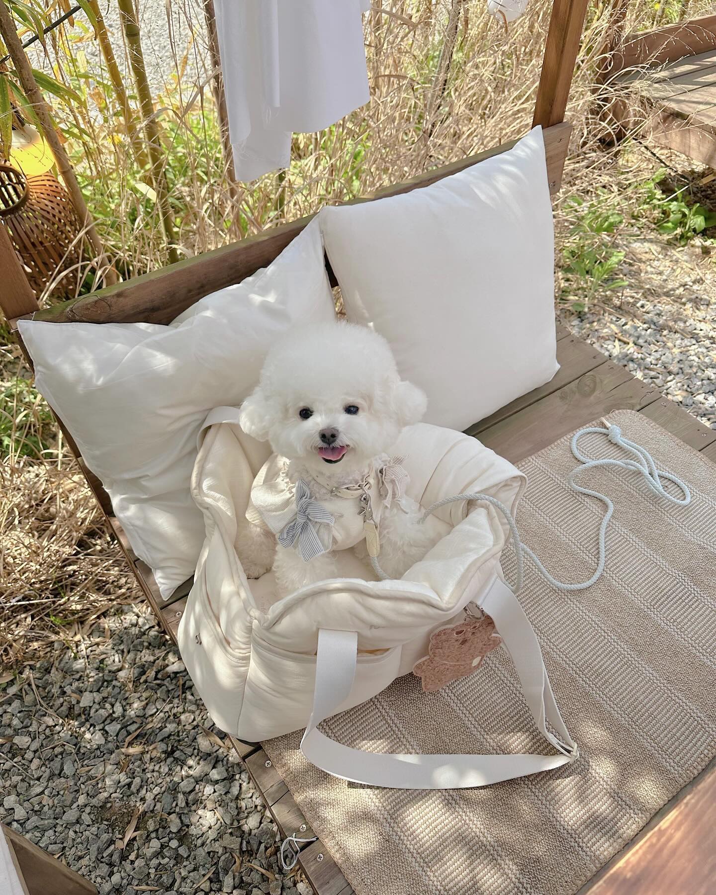 내가 제일 조아하눙 헬미이모랑
기로띠 갔다가 쇼핑하고 호공에서도 놀고 
행복해떤날🥰