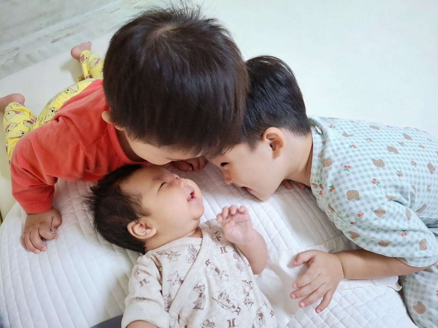 너네들 어쩜 이렇게 사랑스러울까❤