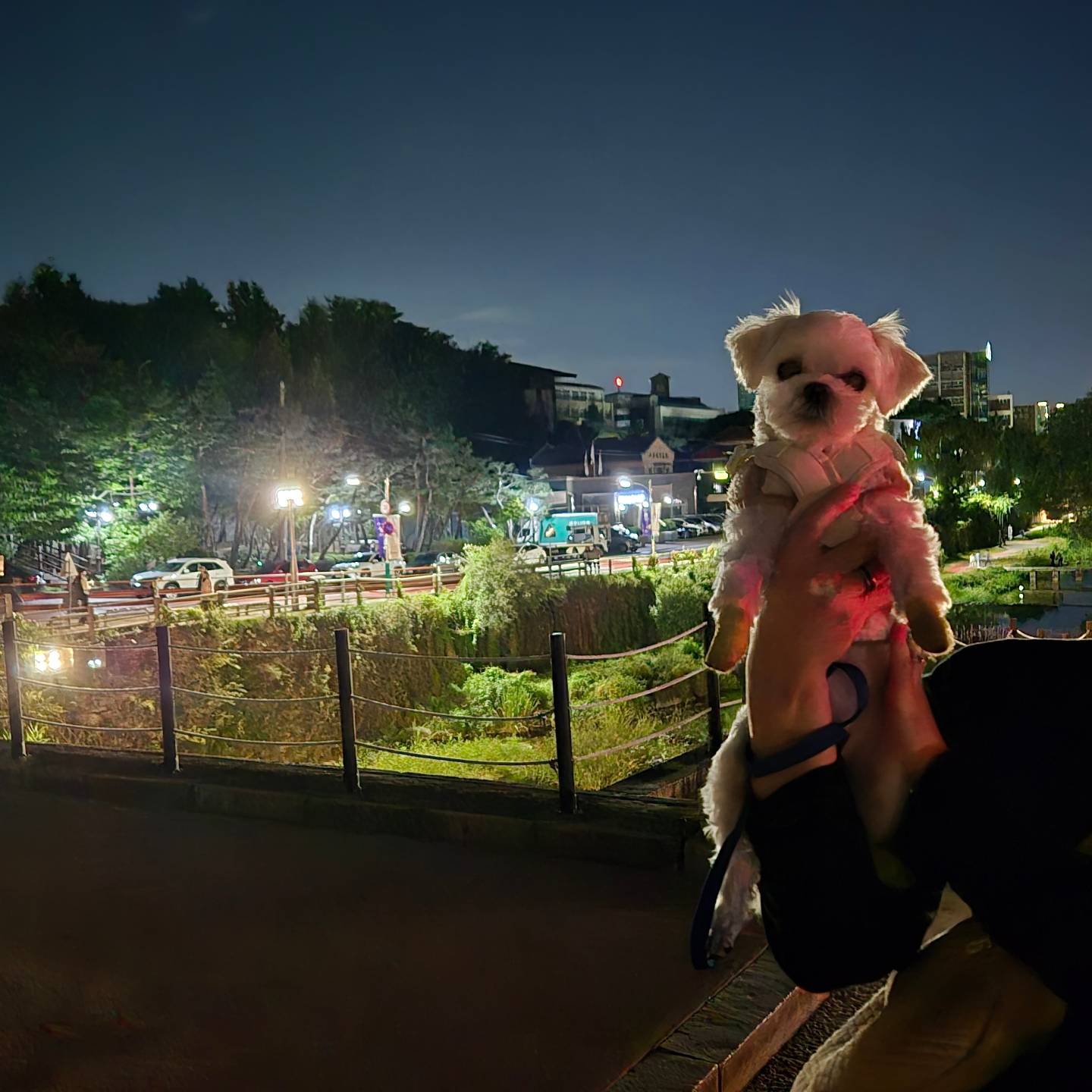 우럼빠랑 #수원미디어아트쇼 다녀왔댕🐶

도착하기도 전에 엄빠 지쳐부러서 제대로 못보고 구냥 왔댕😔

우리 넘 말 안 들어서 힘들댕🤔🤔