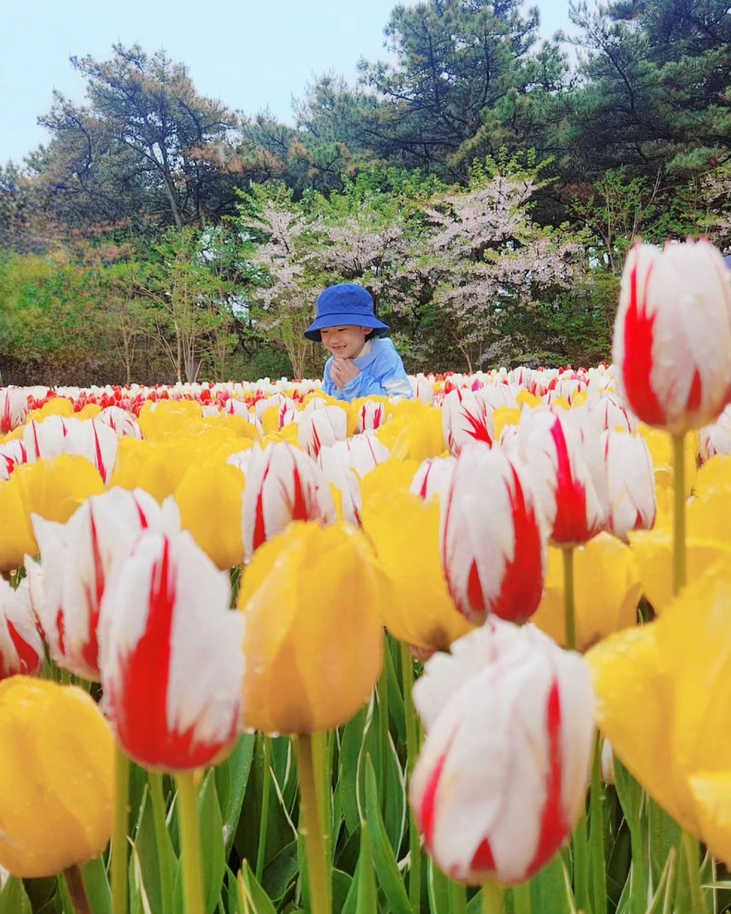 #기록 

튤립, 그리고 예쁜 아후🌷⚘️

#육아기록 #여행스타그램 #여행일기 #여행기록 #튤립🌷 #육아일기 #주말기록 #남매 #삼남매