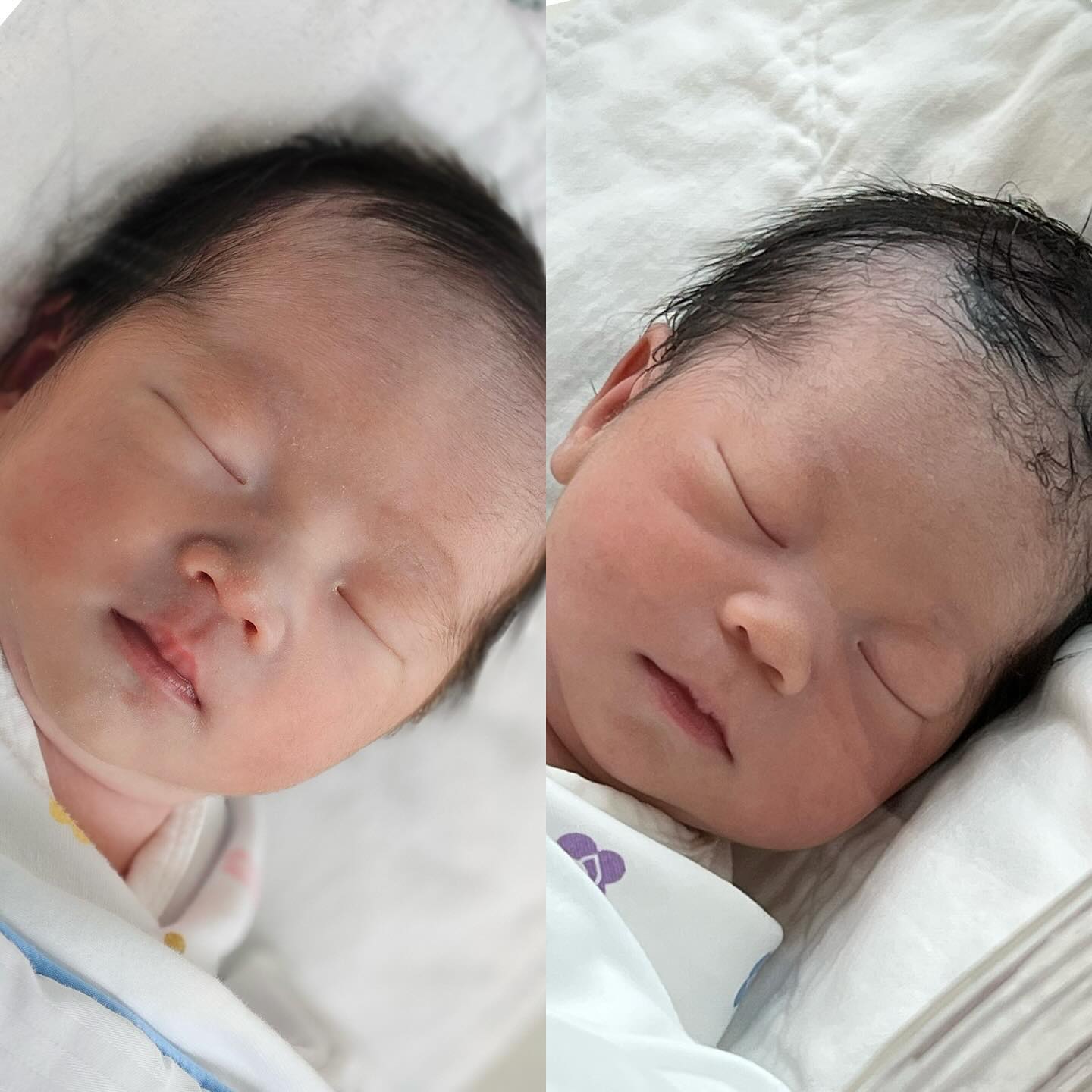 2024년 10월 29일👶🏻💛따용이가 태어났어요! 지금은 따용이에서 한지안으로 이쁜 이름을 갖게 되었어요! 확실히 둘째는 다르고 앞으로도 계속 다를거 같고요, 지유랑 닮은 듯 안닮은듯🤔그래도 둘다 넘 이뻐😍이렇게 네 가족 잘 살아보자! (🐶리치도) 한쥬~~~~~와 한쟌~~~~~~~~~🫶🏻
#나도#인제#자매맘#👧🏻👧🏻