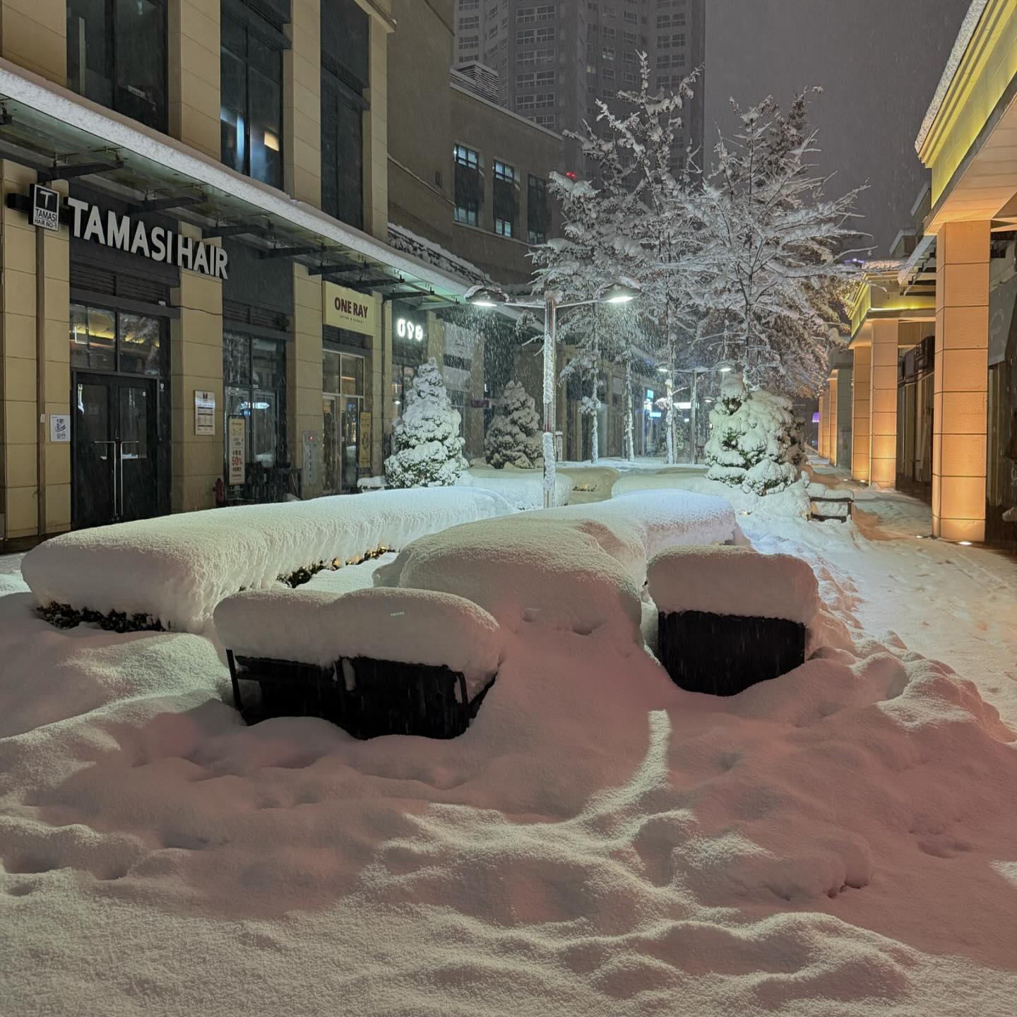 해삐 첫눈🌨️