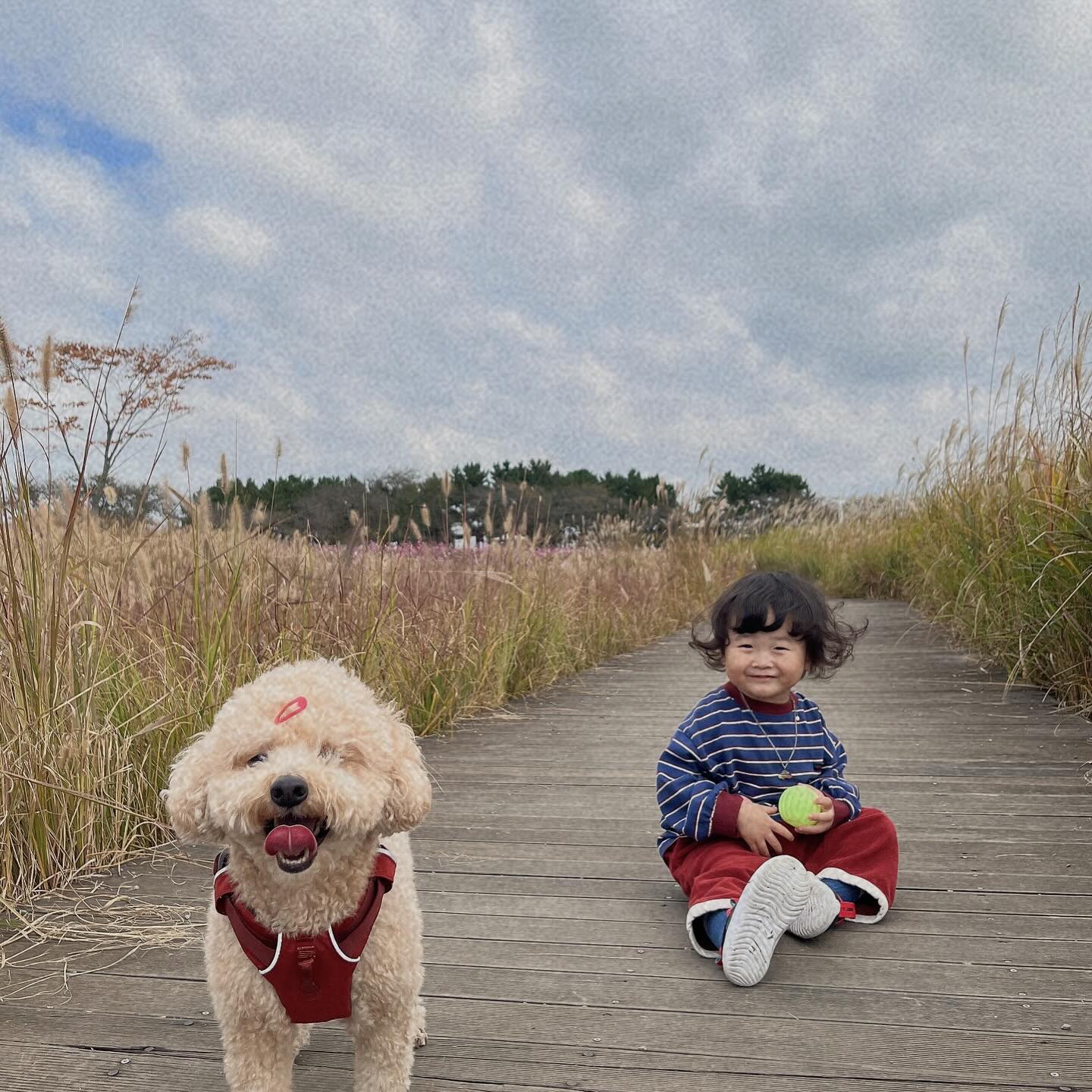🐶🤎👶🏻🌾☁️

우 리 는 , 사 이 좋 은 친 구 .ᐟ 

#친구