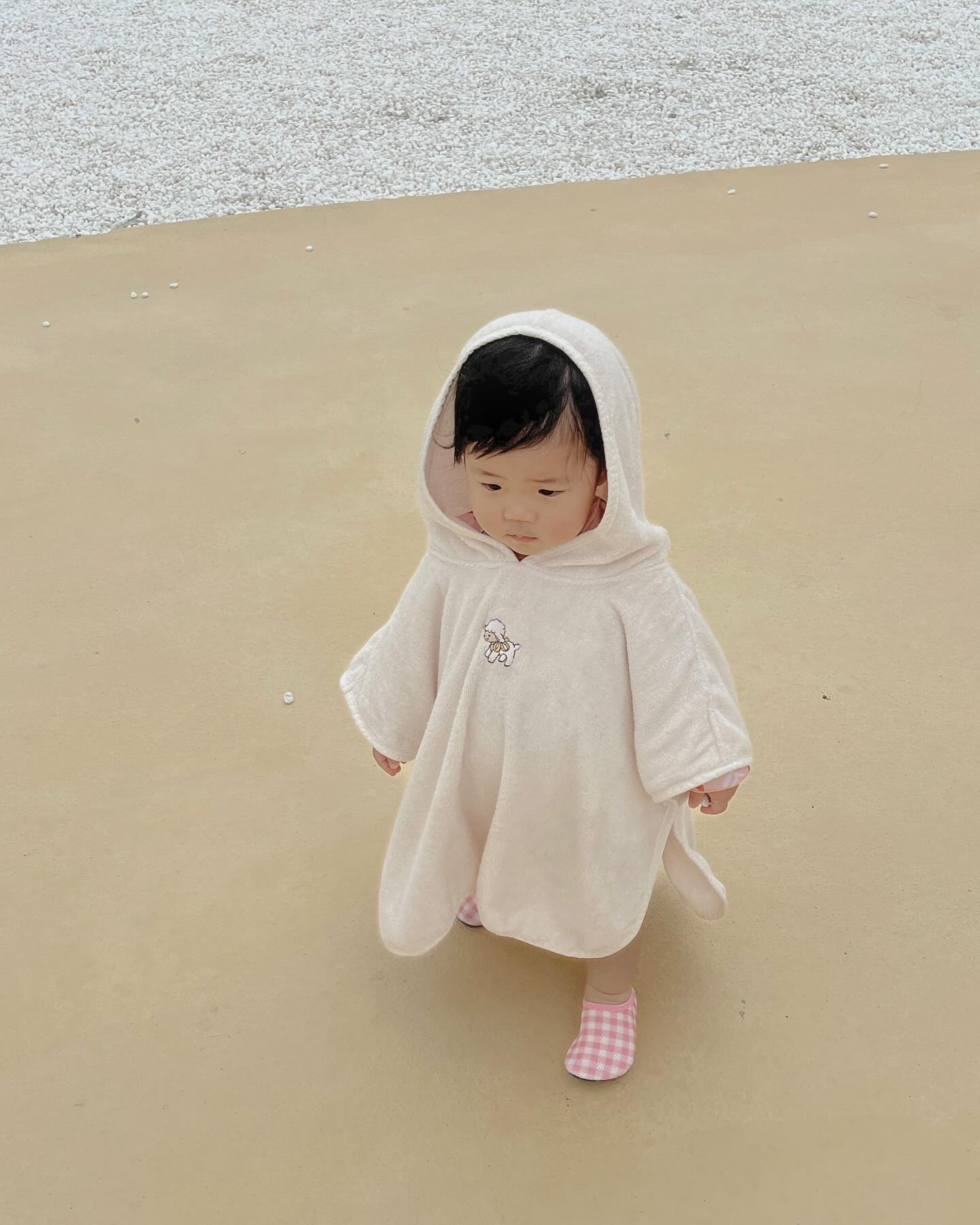 2024.07.21~07.28

열장으론 모자른 이모집에서ღ
언니등원 따라가고 하원도 마중하고
같이 무지개도보고 그림도 그리도 공부도하고 물놀이도하고
언니언니 부르며 따라다니고 언니 얼집가면 엄마 안찾고 
이모이모만 하던 쪼꼬미ㅋㅋ

엄마가 더 행복했던 시간이여따
rimimama_1  언니 나 또 가께🫶🏻