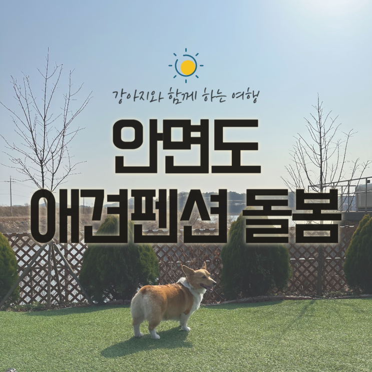 [충남/태안] 바다와 저수지가 보이는 안면도 애견펜션 돌봄 / 웰시코기 중형견도 가능한 곳! 내돈내산 솔직후기