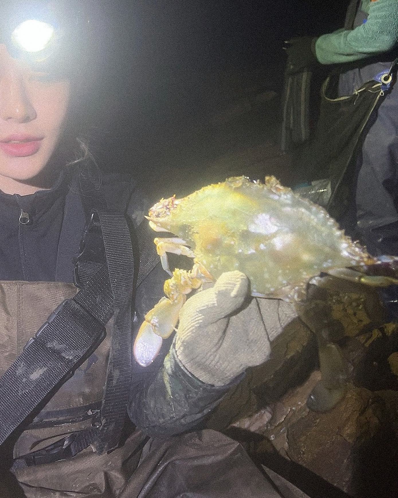 나의 반전 취미🐚🦀

취미의 목적(?)은
부모님께 바치기 위하여

#밤바다 #해루질 #꽃게 큰거잡음
#소라잡기 눈알빠질뻔ㅠㅠ