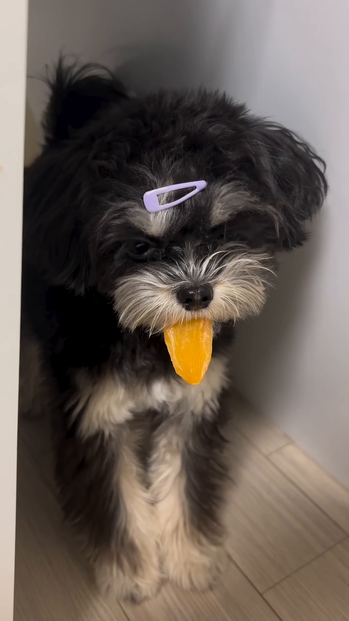 욕심쟁이!