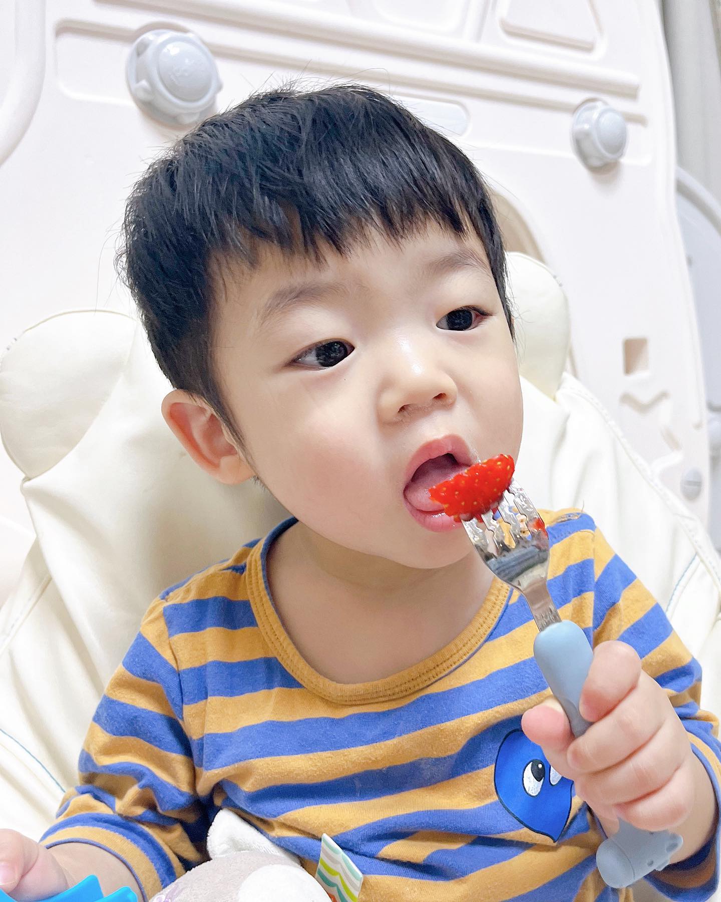 #내돈내산

진짜 살면서 이렇게 신선하고 맛있는 딸기는 첨이에요! 
뽀또가 딸기를 너무 잘먹어서 동생이 선물해준 #당찬딸기 🍓🍓
출하되서 시장에 경매장에 있다오는게 아니라
마트에서 오래 진열됐다 우리집으로 오는게아니라
바로따서 택배로 하루만에 받으니까!! 집에서 키워수확한것처럼
완전 신선하고 당도도 최상!!!🍓🍓🍓
작물 특성 상 망가지기 쉬운 과일인데 정망 흠집하나없이 이렇게 좋은 딸기라니🍓🍓
좋은것만 주고싶은 엄마들이라면 #당찬딸기 선택하세요❤️
구매는 strawberry_dangchan 

#당산딸기 #당찬딸기 #돌아기딸기 #아기딸기 #딸기먹방 #🍓