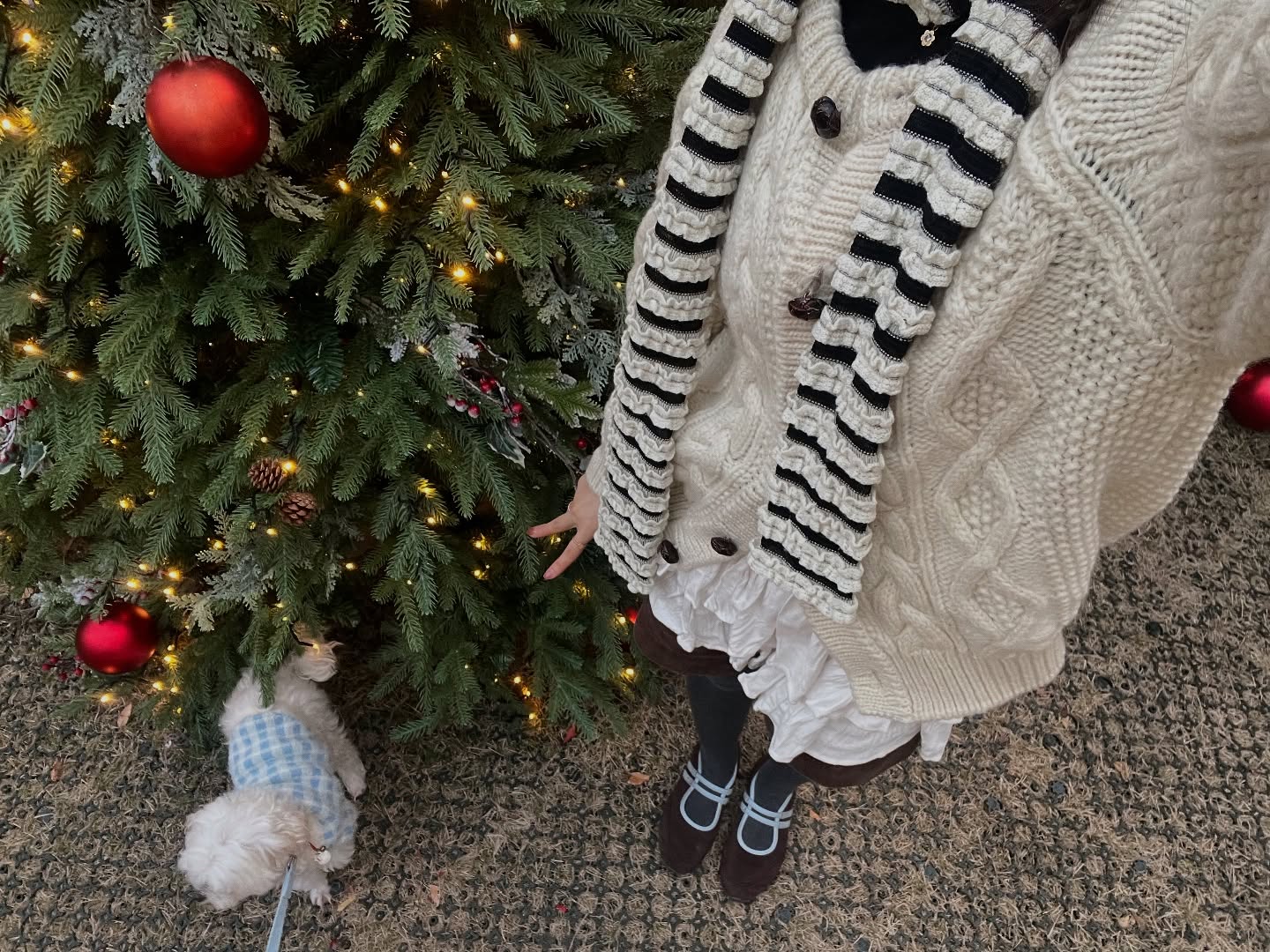 설레는 🪁🐴 (о´∀`о)