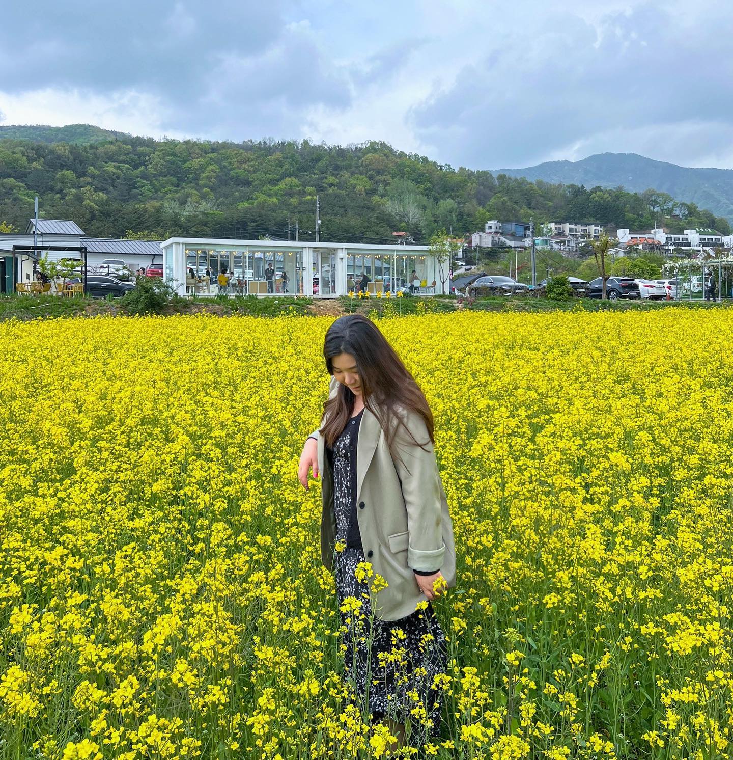 #
경주가면 제일 가고 싶었던 카페 바실라🌼
꾸리꾸리하고 사람많아서 좀 고민했는데 넘 좋아..!

🏷️카페 바실라 basilla.gyeongju 
+ 더 많은 사진,정보는 블로그 포스팅 참고

-
#바실라 #바실라카페 #경주 #경주카페 #경주대형카페 #경주사진찍기좋은곳 #경주핫플레이스 #경주핫플추천 #경주핫플 #경주가볼만한곳 #경주여행 #경주여행 #경주유채꽃 #유채꽃 #불국사카페 #카페투어 #카페스타그램 #korea #koreatravel #koreatrip #koreacafe #gyeongju #gyeongjutrip #gyeongjutravel #gyeongjucafe