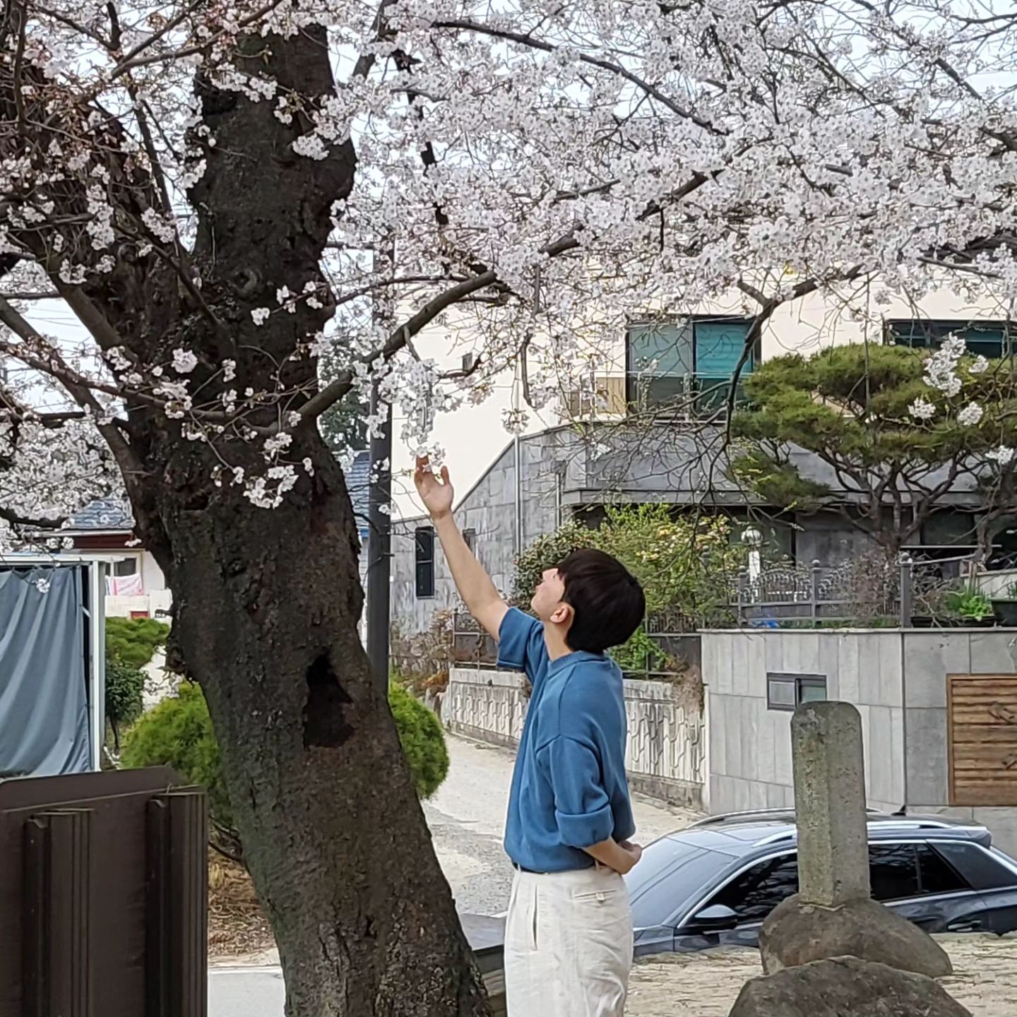 🌸🌸🌸🌸🌸🌸🌸🌸🌸🌸🌸🌸

주말에 흔히 알려진 벚꽃 명소에 가기에는 사람이 너무 많을 것 같아서 
지도를 검색해보다가 "만귀정"이라는 고즈넉한 분위기의 문화유적에 다녀왔어요 :) 
고양이도 있고, 강아지도 있고, 지브리 노래 틀어주는 카페도 있고 정말 분위기 좋더라구요..! 
광주 사시는 분들은 "운천저수지"말고도 "만귀정"가보세요!
• 위치 -광주 서구 세하동 10

#광주가볼만한곳 #광주데이트장소 #벚꽃 #남자봄코디 #남친룩 #만귀정 #동하마을 #여행장소추천 #사진스타그램 #벚꽃명소