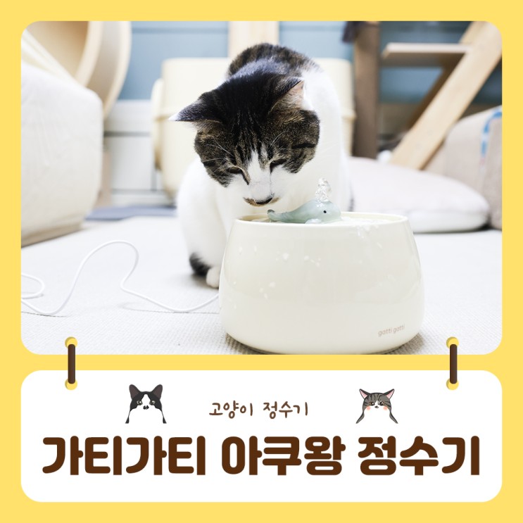 건강한 세라믹 고양이정수기 가티가티 아쿠왕 고양이 음수대