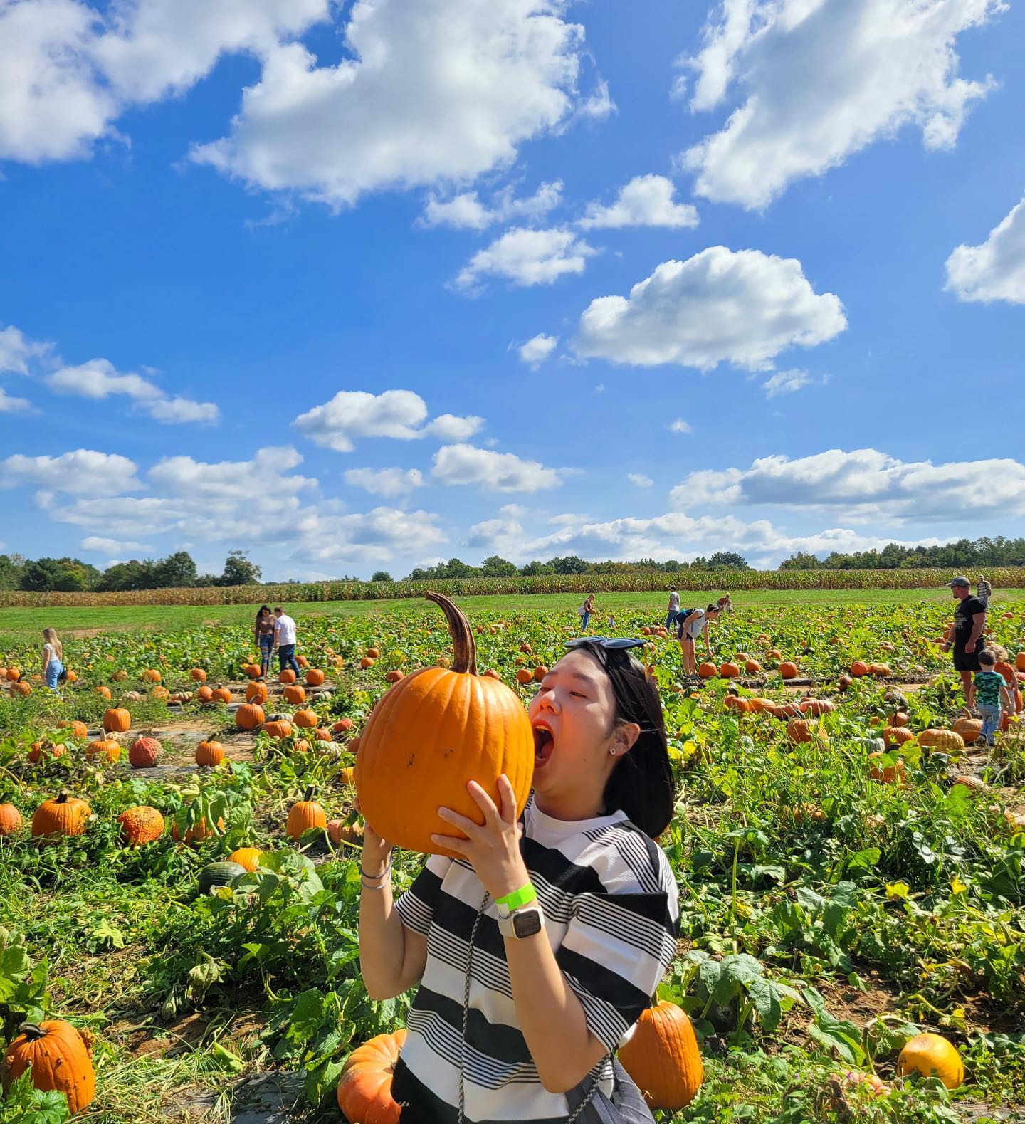 🧡Pumpkin Fall Festival🎃🧡

📍Chesterfield Berry Farm, Richmond VA🇺🇸

오랜만에 바로 업뎃 올려보는 일상!
이번엔 가을이 지나가기전에 올려보려구함☺️
미국 온지 이제 어언 3개월차- 이상하게 미국에서의 시간은 한국에서보다 천천히 가는듯하다! 좋다면 좋고 나쁘다면 나쁘지만..😅 나름 최선을 다해 즐기고 있는중!

점점 더 힘들어지는 육아에 낯선 생활 환경에
이래저애 힘들때도 많지만 그래도 미국 생활 나름 재밌지..?
그때 이럴걸 그때 저럴걸 이런 저런 후회가 남지 않도록 남은 미국 생활 200% 넘게 즐겨보자😆

예전의 내가 비행하면서 늘 했던말이 있지…
잘시간 쪼개서라도 내일의 체력을 끌어서라도 놀아야 한다고😅
덕분에 나는 비행 하면서 이곳저곳 많은 추억을 남길수 있었지!
미국 생활도 좋은 추억으로 남길수 있도록 다시 오지 않을 미국에서의 하루하루 슈퍼맘의 체력으로 최대한 즐겨봅시다!
자 다음주는 뉴욕으로✈️✈️ (힘내.. 쭈니맘..🥲)

#쭈니맘힘내세요 #놀러갈때만나온다는호랑이체력🐯 
#Pumpkinfestival #Chesterfieldberryfarm #Richmond