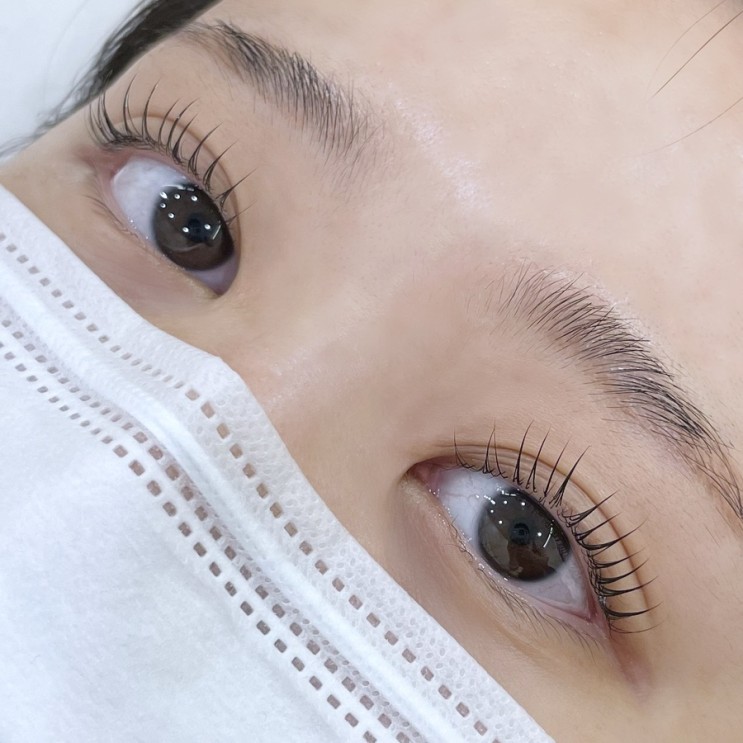 울산 성남동 속눈썹펌 | 그리지움