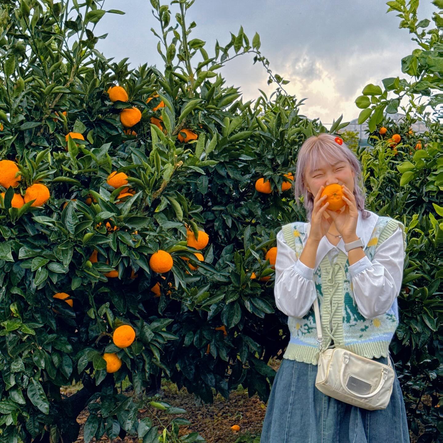 📷 dhdh_1331 
📍🍊제주도
🗓️2023.11.03~05