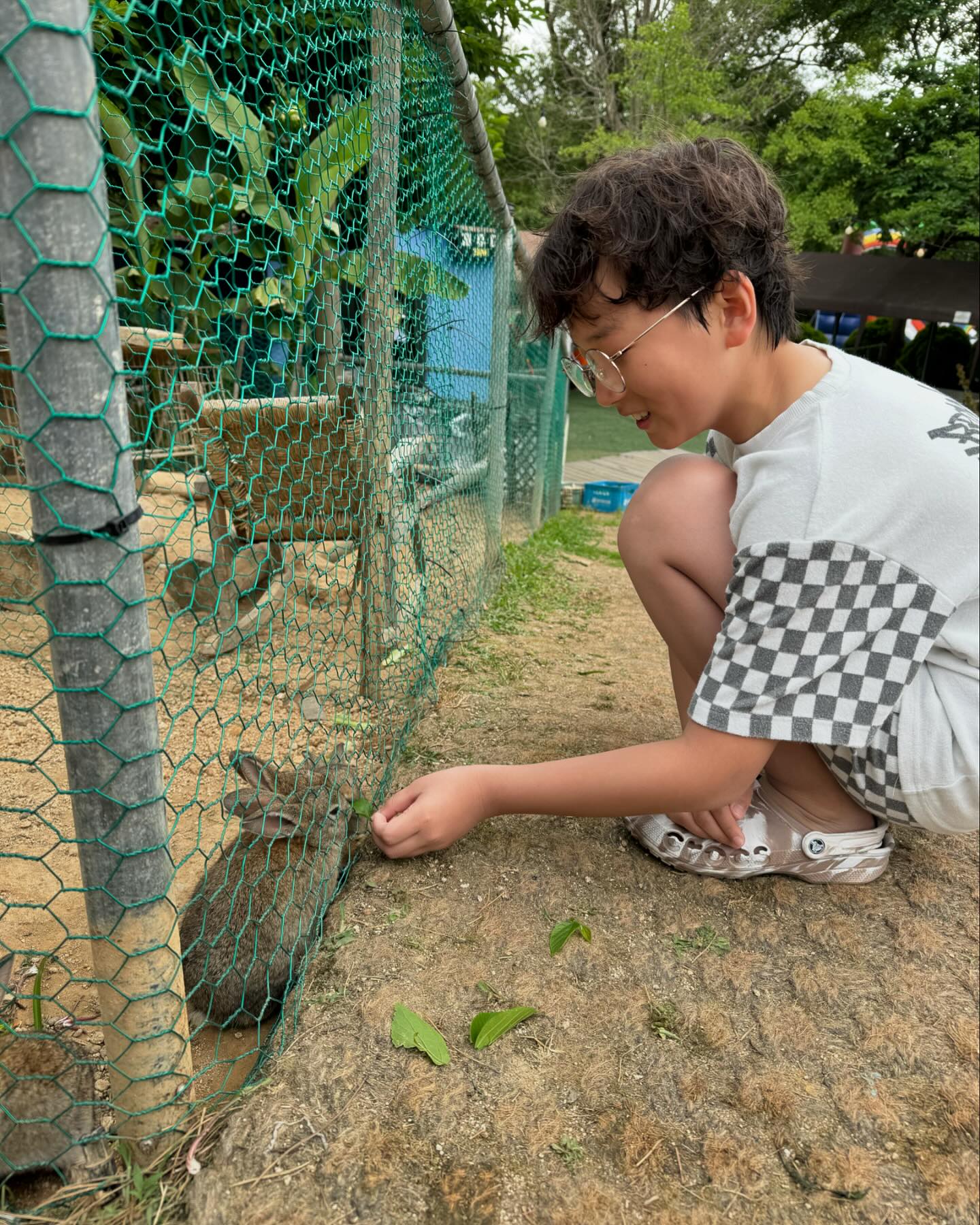 놀거리가 아직 끝이 안남
토끼 밥주는데서 또 한참 앉아서 밥주는 아들들
어릴때 부터 밥주는 거 참 좋아함 😆
근데 토끼 왜케 귀엽냐 🐰