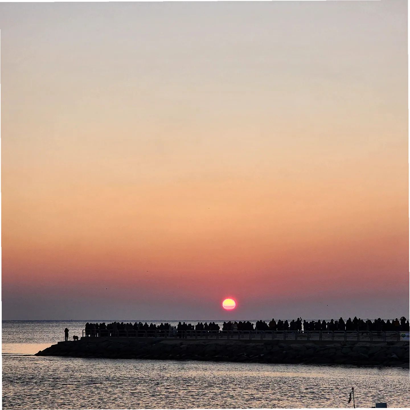 ⠀⠀⠀⠀⠀⠀⠀
🌅

1월1일 새해캠 해돋이
구정이 되서야 업로드

그간 잘 지내셨나유
저는 크리스마스때 폰이 또 박살나는 바람에
겸사겸사 인테기가 함께 왔었다지요😂

그래도 그김에 폰으로 바꾸고
사진도 많이 쟁여놨는데
조만간 차차 업로드 할 예정❕️

무튼 모두모두
새해 복 많이 받으세요🧡
⠀⠀⠀⠀
⠀⠀⠀