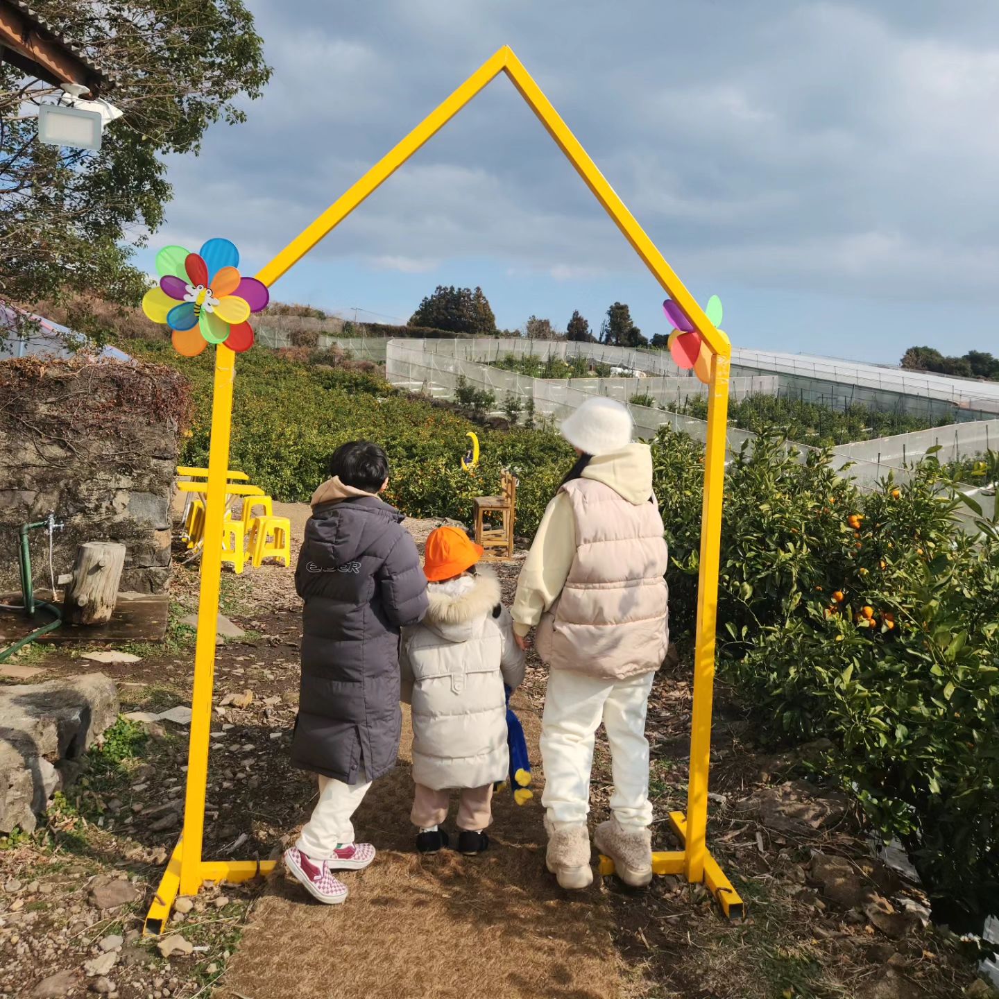제주도 감귤체험 🍊
따고 먹고 또  따고 먹고 😋
철 바스켓에 아이들이 수확한 감귤 한가득 담아서 대전까지 가지고 왔다는 ㅎㅎㅎ 생각보다 시간 가는줄 
모르게 알차고 재밌던 시간이었다
.
.
.
#제주감귤 #감귤체험 #감귤 
#타이벡감귤 #아이들체험 #귤수확 
#가을동화감귤밭 #서귀포여행 
#제주 #아이들과함께 #즐거웠다