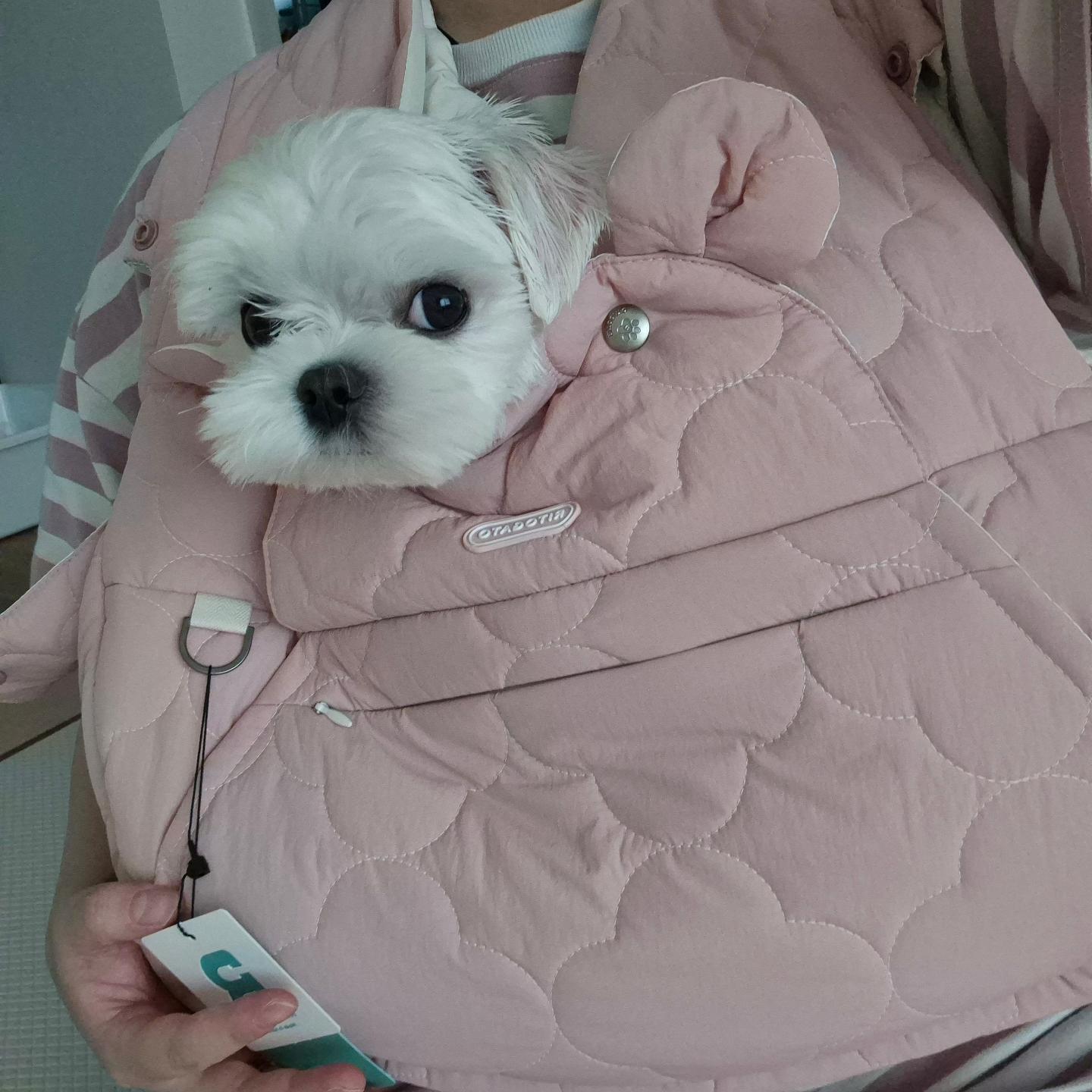만족스러운 것 같군🐶

옴마도 배송때무네 화났던 거 말고는
만족해🤦‍♀️🥰🤦‍♀️🥰