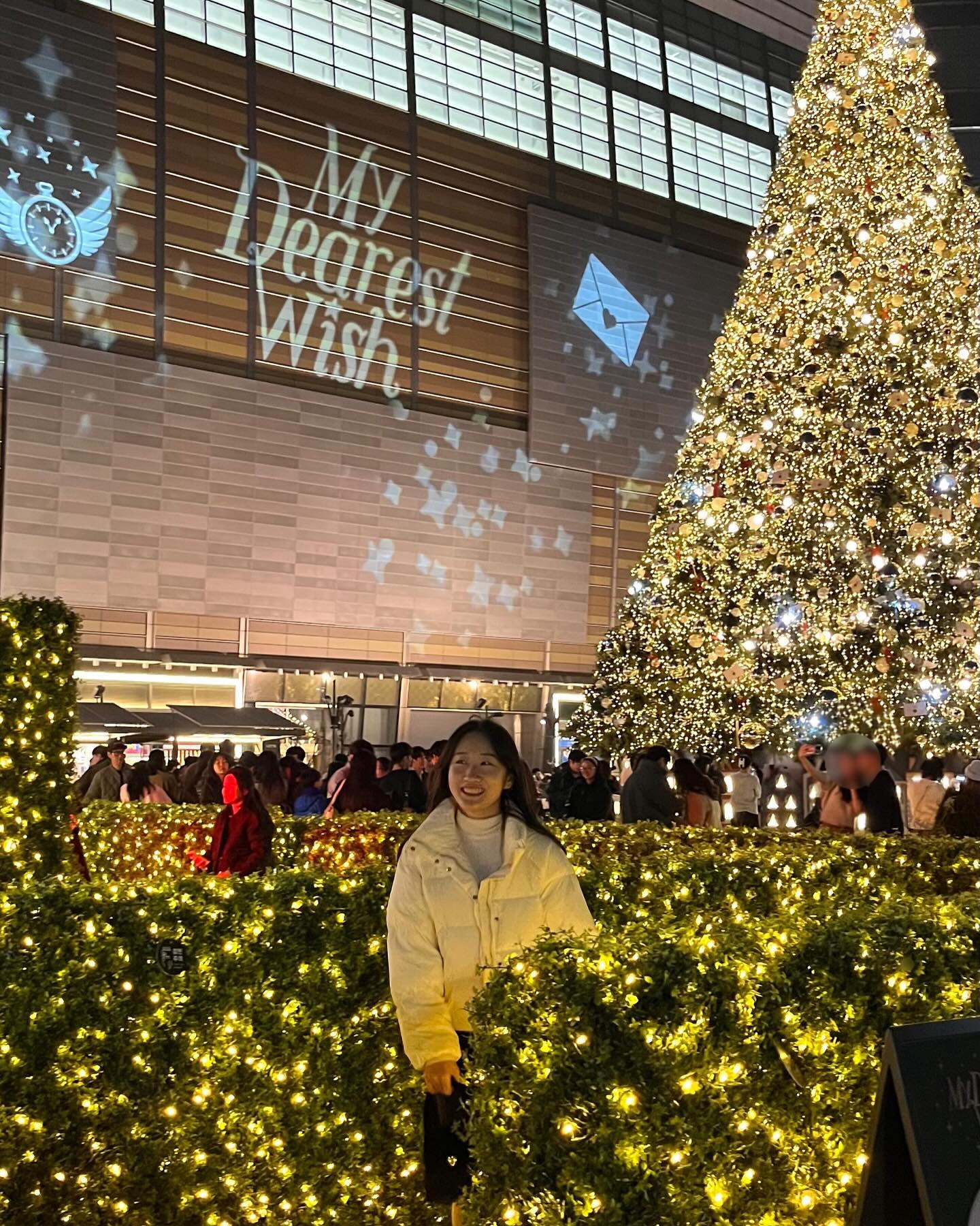 *.❅ Merry Christmas *.❅
코앞이 잠실이다 보니 오며 가며 찍었던 크리스마스 트리 모음.zip🎄