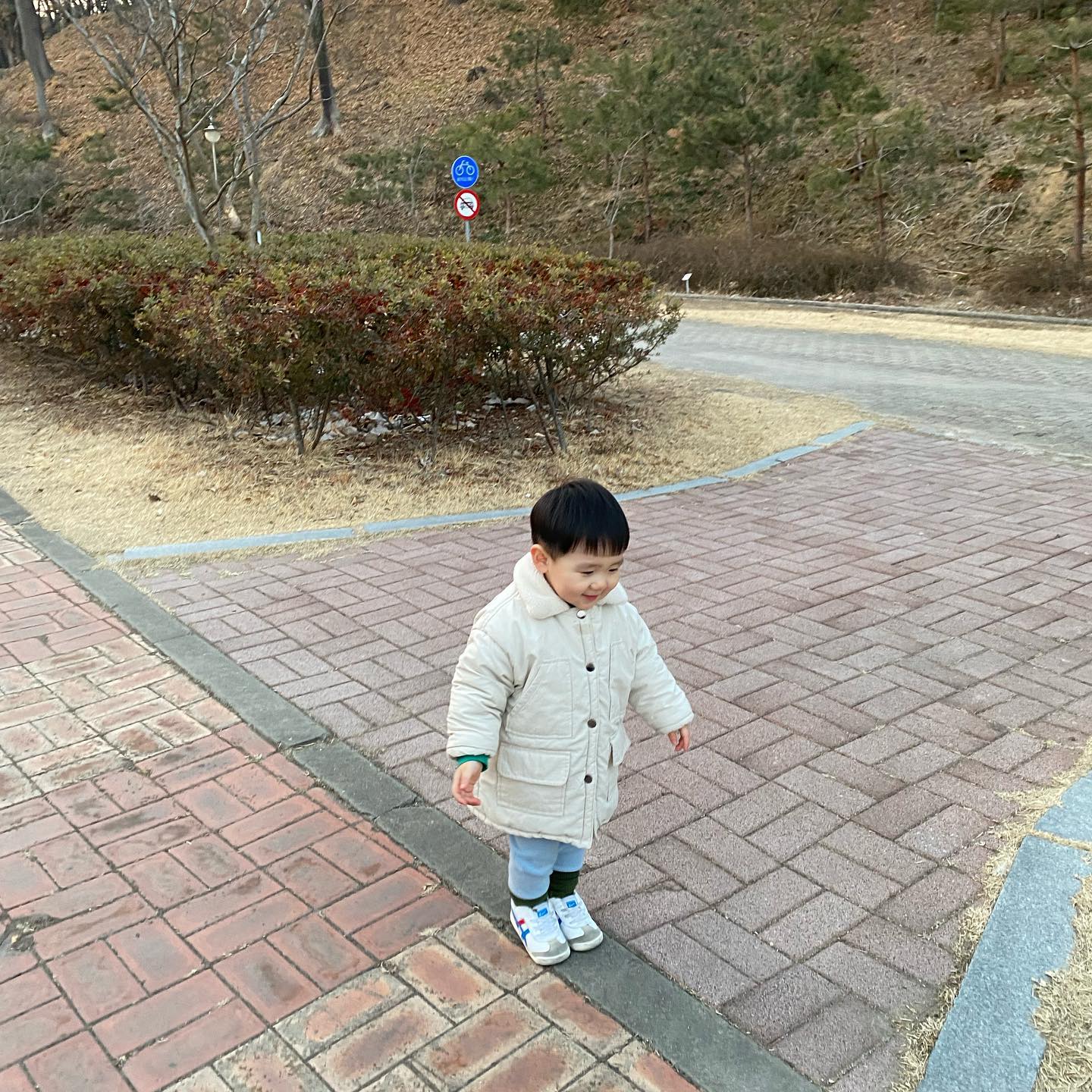 뚱냥이 따라다니는 뚱보😽