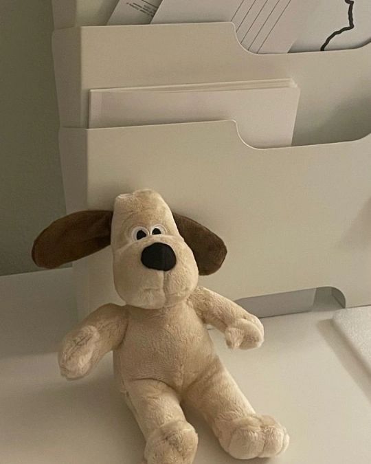 🐶
