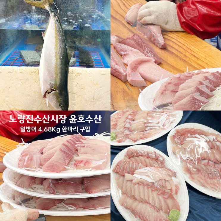 노량진수산시장 윤호 수산에서 겨울 제철 음식 일방어 한 마리 구입 포장