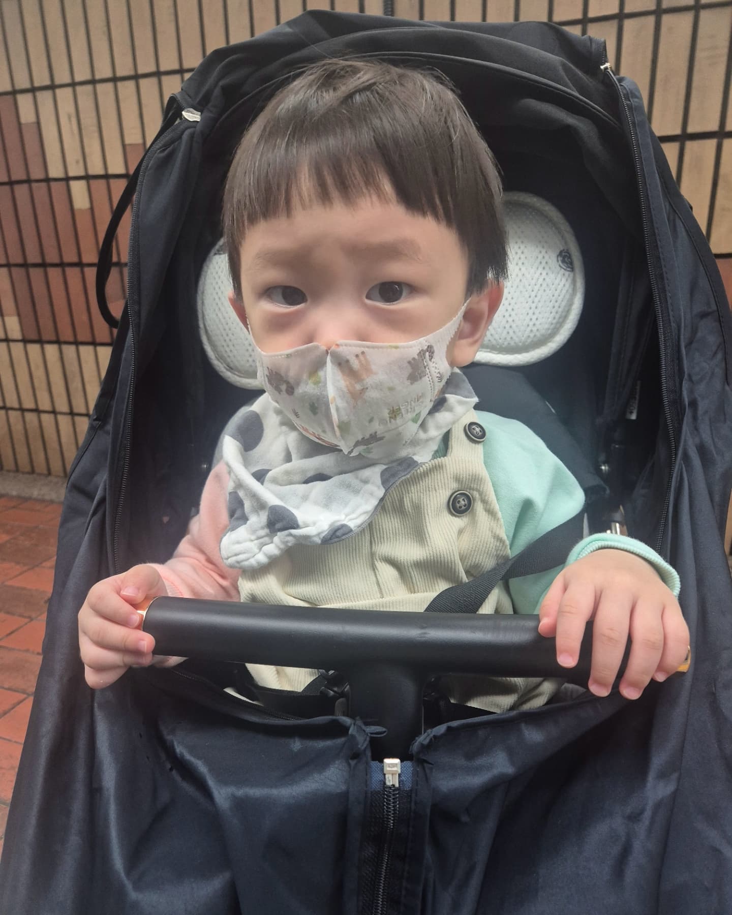 오늘의하루
원래 예정은 아침일찍 #키즈카페 를 갔다가 낮잠시간에 돌아오는 거였음
애미가 늦잠자는 바람에 일정이 바뀜

거의 12시가 다되서 키카도착 ㅋㅋㅋ

두번째 애미랑 단둘이가는 키카
가자마자 자동차만 10번탔다

그리고 아들은 조금 더 성장했다
처음갔을때는 풀볼장을 그렇게 싫어하더니 이제 들어가서 엄청 잘놀았음
편백나무 존은 절대 안갔는데 왠일로가서 앉아서 놀고있었음
놀고나서 큰 자동차들을 들고나오려고했지만 ㅋ

그리고 애미가 좋아하는 조용하고 가만히 앉아있어도 위험하지 않은 트램플린존
갑자기 또 어린이집 형과 누나들이와서 잠깐 정신없었지만
오늘은 자빠지거나 밀쳐지지않았다

간식으로 우유와 식빵을 줬는데 앉아서 먹으랬더니 애미에게 등돌리고 앉음
식빵과 우유는 결국 남기고 흘려서 애미가 트램플린 청소해주고옴

애미 손 잡고 계단을 내려오며 "아이씨' 거리기
애미가 미안해. 안하도록 노력할께. 근데 나도 모르게 튀어나와

그리고 다시 볼풀장
아까는 걸을때 공을 다밟고다녀서 굴러다니더니 이번엔 스윽스윽 귀여워죽음

밖에서는 항상 손을 잡고 계단이든 턱이든 오르내리는데 갑자기 요령이생김
야외에서 저럴까 겁이나는군

나오는길에 좋아하는 낚시놀이 구경한번하고 자동차 여러번타주고 대형하마랑 사진찍고 #크리스마스트리 크게 이쁘게 해놨길래. 찰칵

집에오는길에 당연히 잘 줄알았는데
한숨도 안주무신 아들

그덕에 밤잠재우는 애비만 편함

#16개월 #엄마와아들 #나들이 #산책