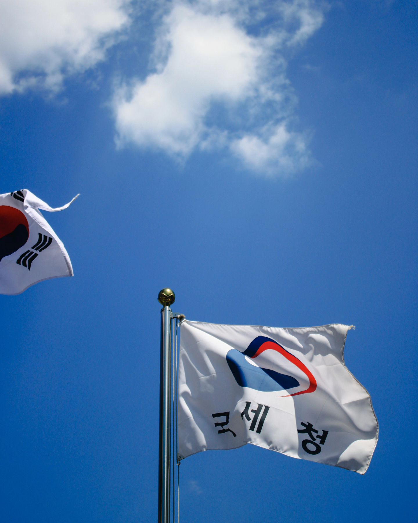 사진 찍은 파일 뒤적뒤적 하다가 이쁘길래 올려버리기 ㅋㅋ

#부평 ##맞팔가능 ##인천사진작가 #이쁜사진