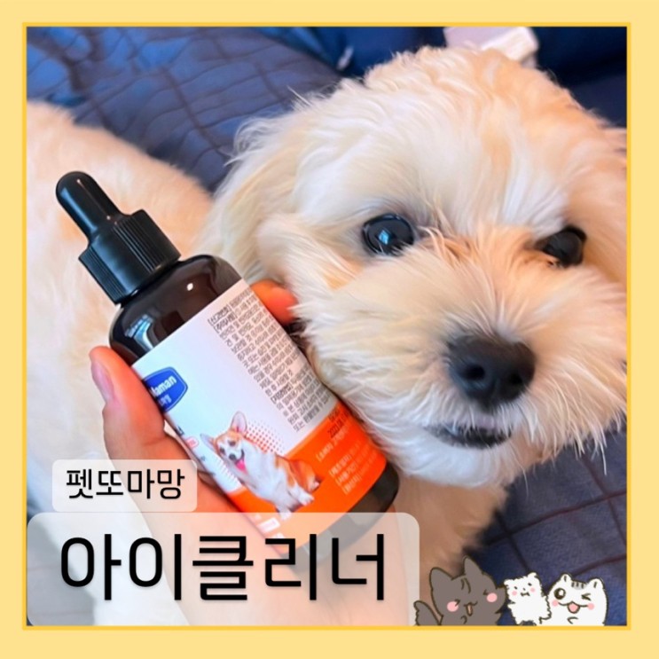 [펫또마망 아이 클리너] 강아지 안약 추천. 우리 강아지 눈물 자국 지워주기