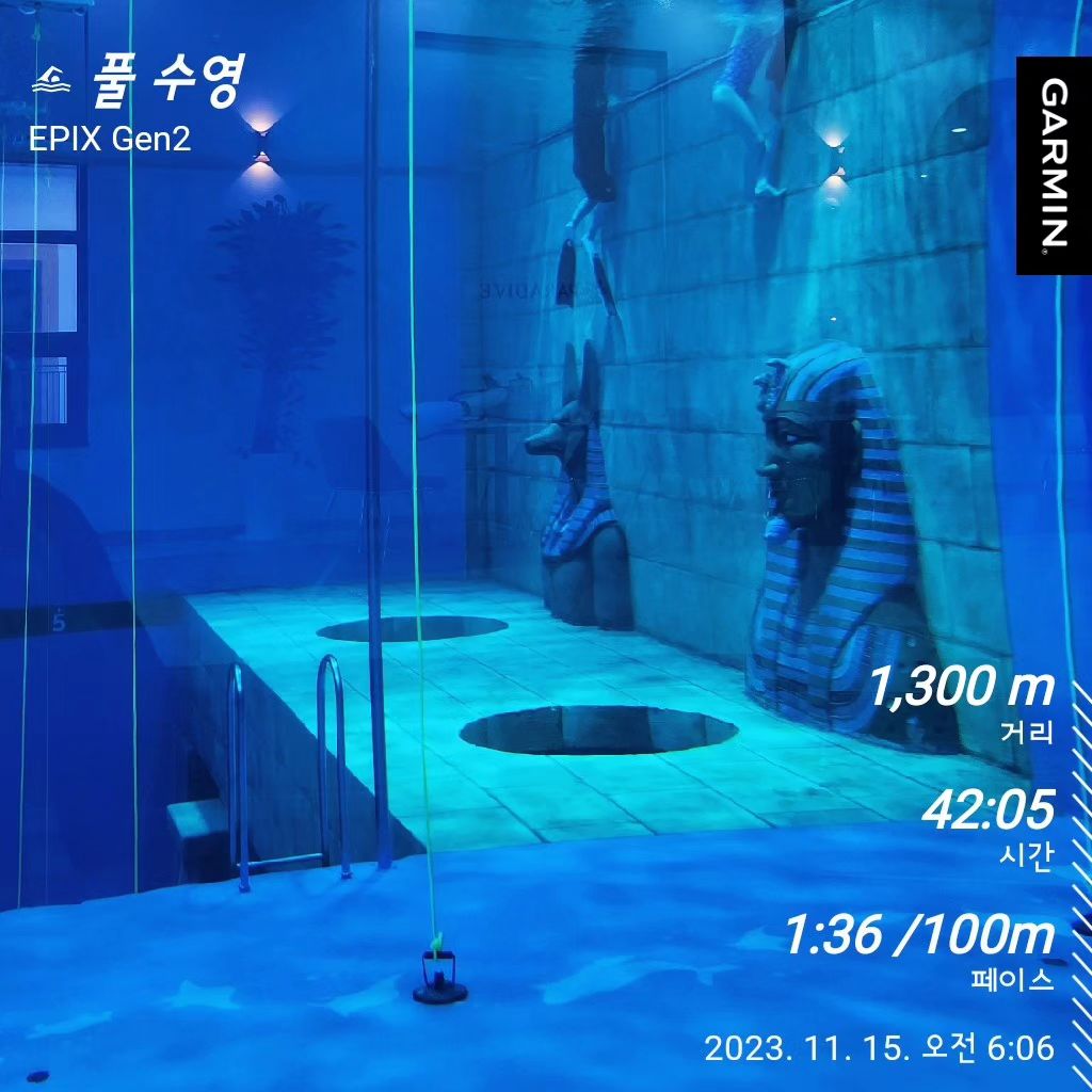 새벽수영은 언제나 옳다

기분좋은 하루시작

#새벽수영🏊‍♀️ #수영좋아🏊‍♀️ 
#송도수영
#인천대스포츠센터 
#아침밥먹자#1300m