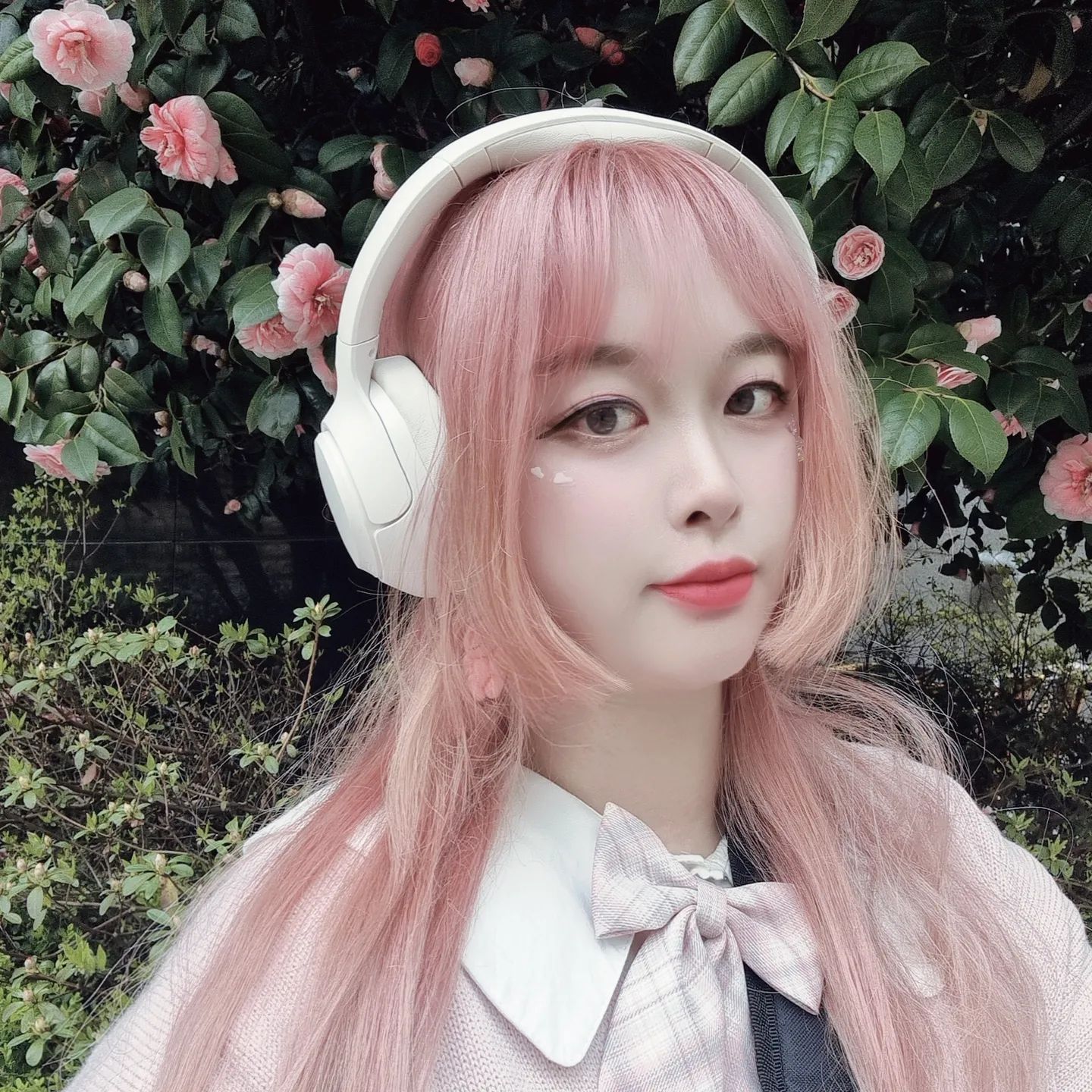 핑쿠핑쿠