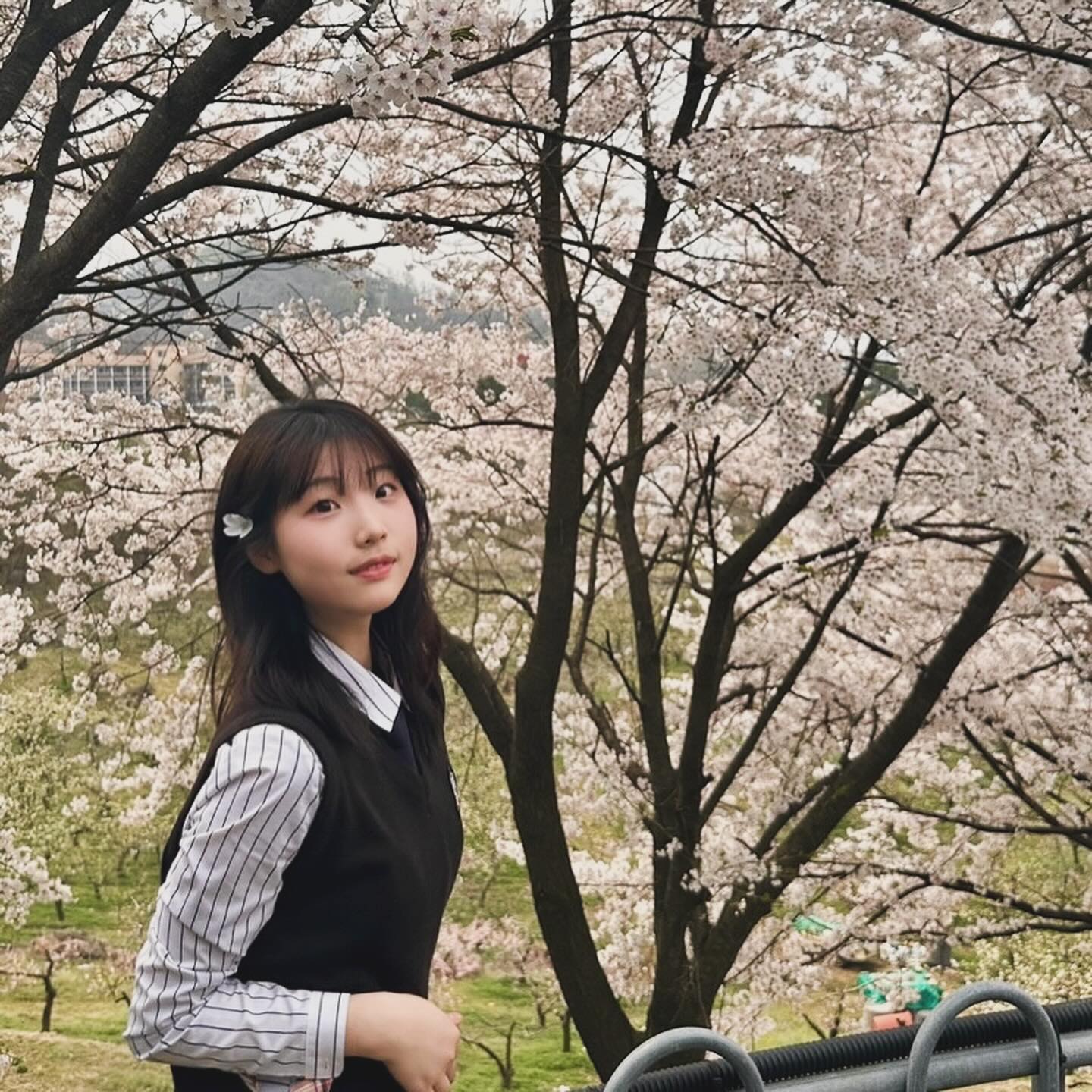 🌷🎀