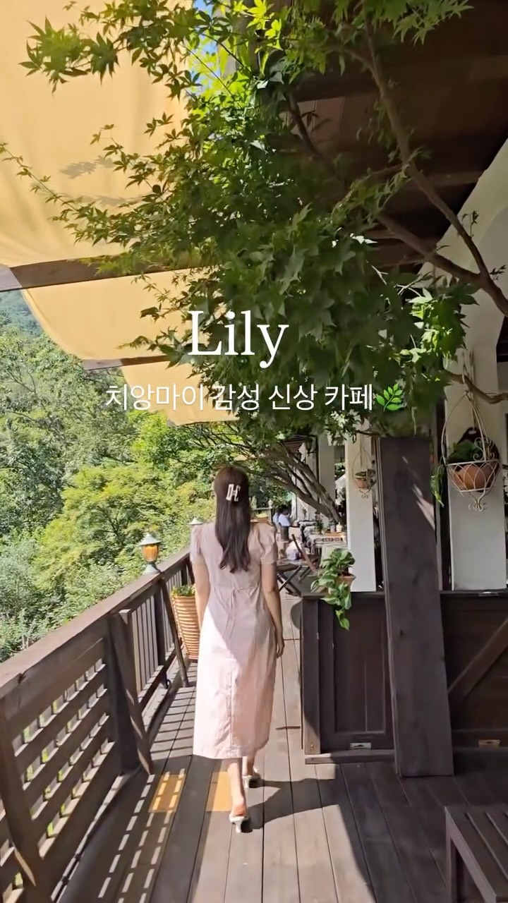 콘텐츠