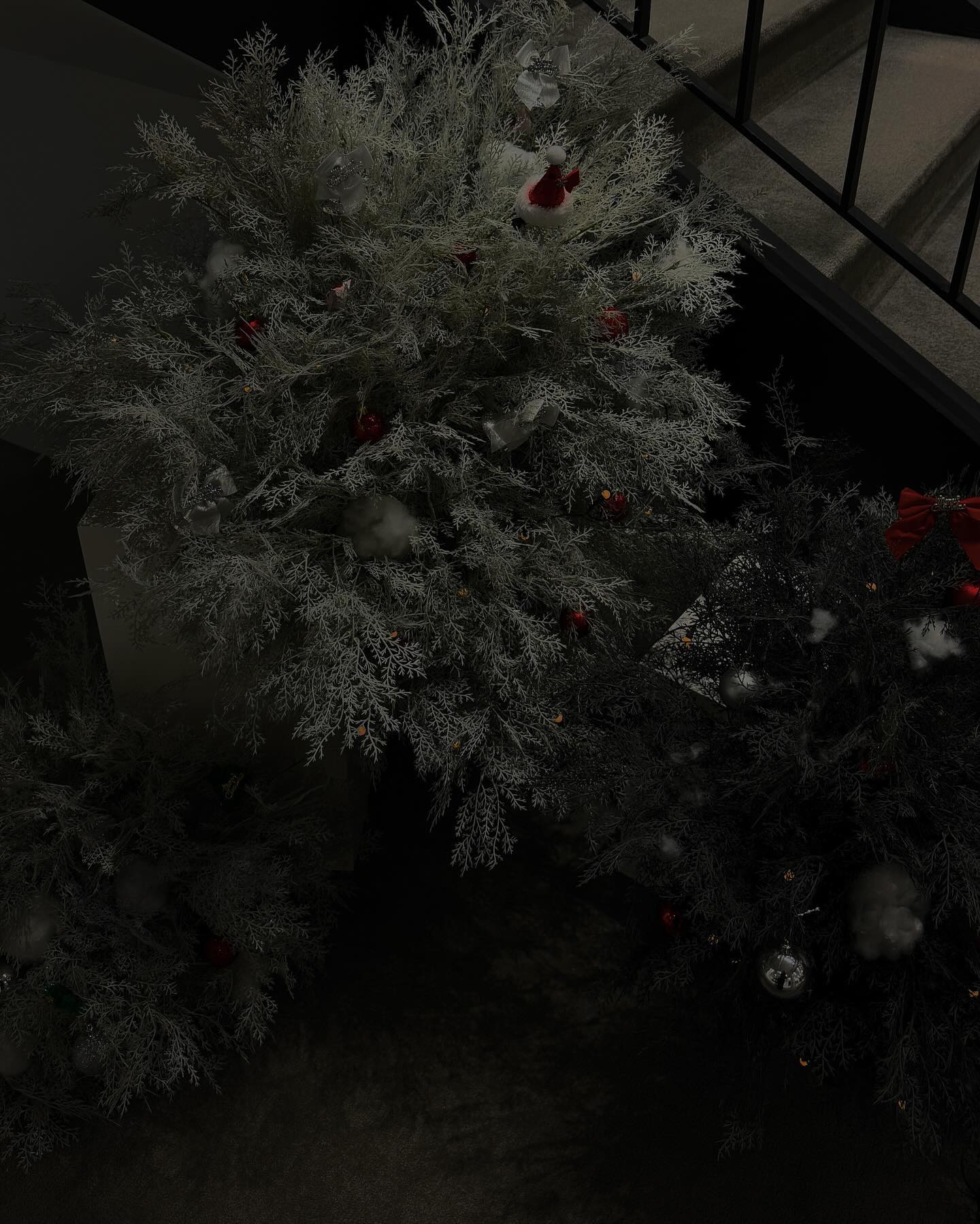 Merry christmas🎄