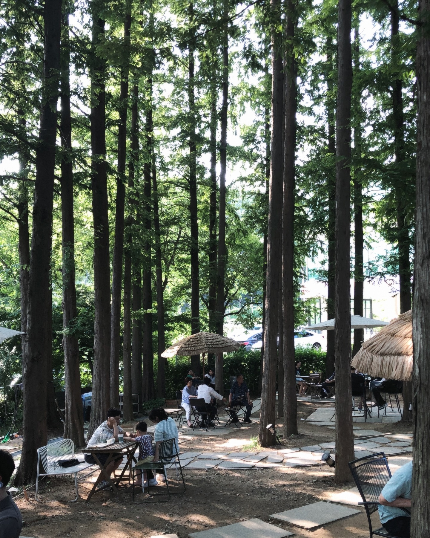 피톤치드 가득한 물왕저수지 근처 숲카페🌲특히 테라스 공간 사람 없어서 너무 좋았어요 🙂‍↕️ 더위에 녹아내려도 야외 포기 모태..

📍 빅트리
- 경기 시흥시 동서로811번길 46-1