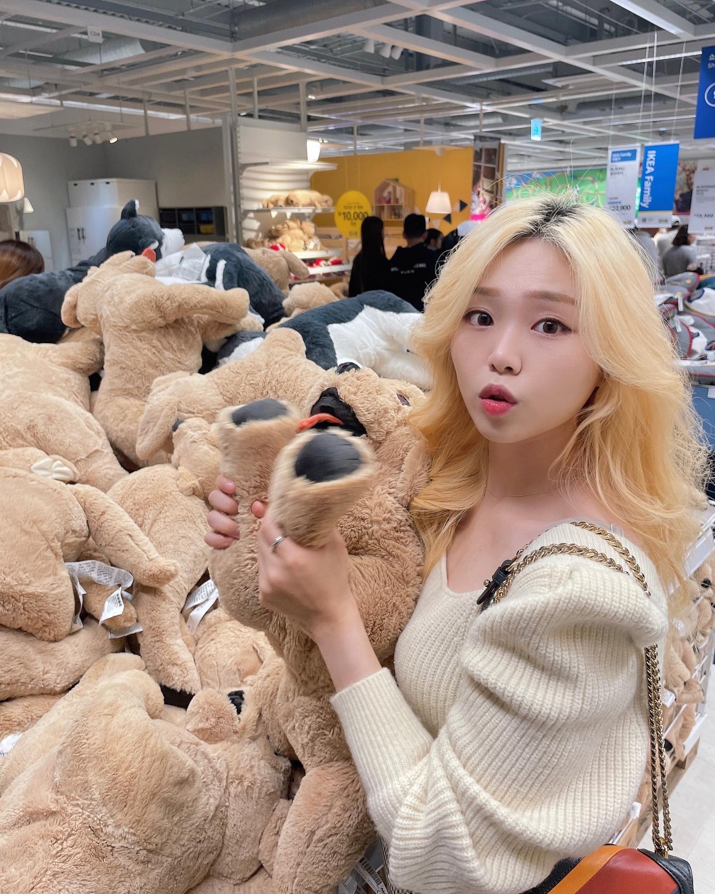 원픽은 이케아댕댕🤎