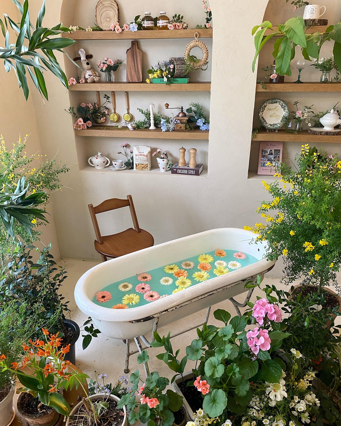 🌸🌼🌺🛁🌿🌷