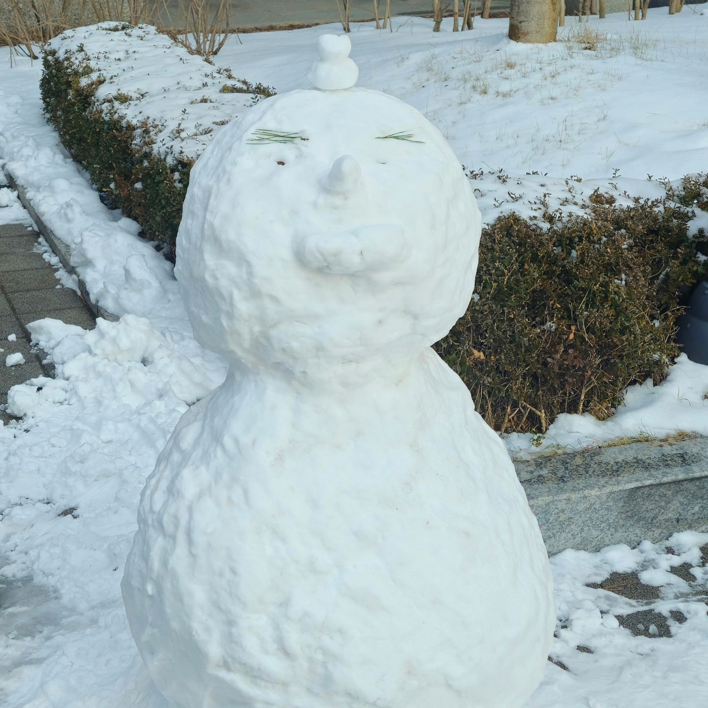 ⛄️