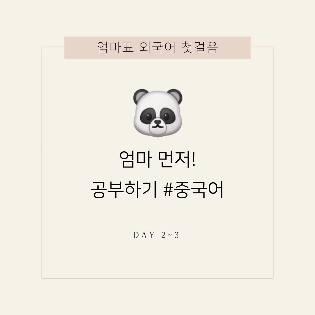 #토리마마중국어 #도요새중국어 

🐼 중국어 공부 2,3일차

토리가~ 엄마 잘햇다고 응원해줬네요~
같이 하니 더 즐거운 공부!

아이가 성장하는 만큼 엄마도 성장!
일타이피ㅋㅋㅋㅋㅋㅋ

피드 영상은 훈훈하지만.... 
다음~ 학습부터 토리꺼라고 못하게한건 
안비밀....🤣입니다...
서러브서 내꺼~ 결제해야겠어요...?

3일차까지 완료!
(금요일은 나갔다 집에왔더니 하루가 지나갔어요🥶)

A단계 부터 어서 끝내자~~!
내가 하오하오 책 읽어줘야지~~~♡

엄마도 목표가 있으니 하게되네요ㅎ
우리 같이 중국어 공부해요😆