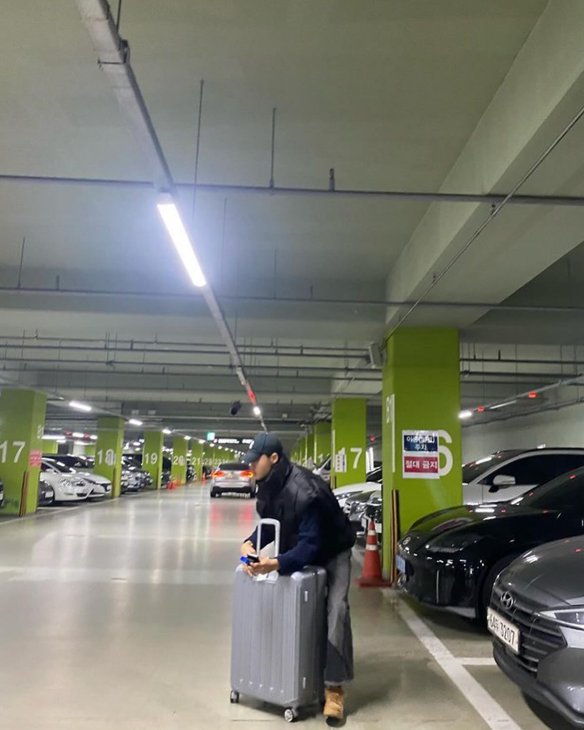 인라인 말고 캐리어