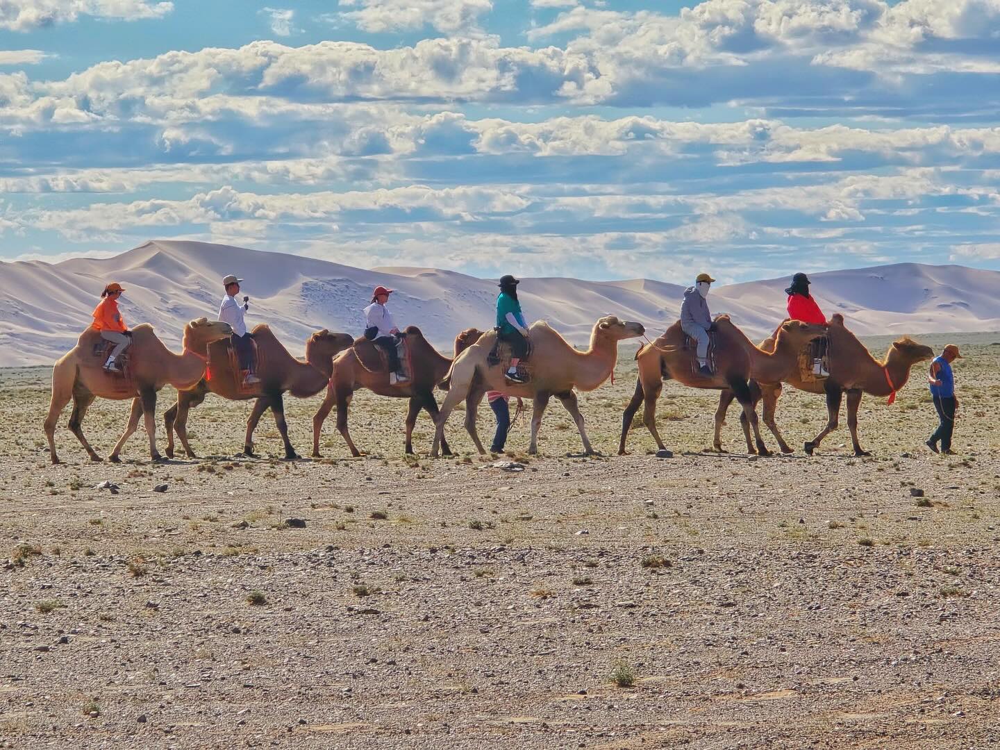 낙타혹은 어떤 느낌이게요🐫

#찌지고뽀꼬 #여행유튜버 #몽골