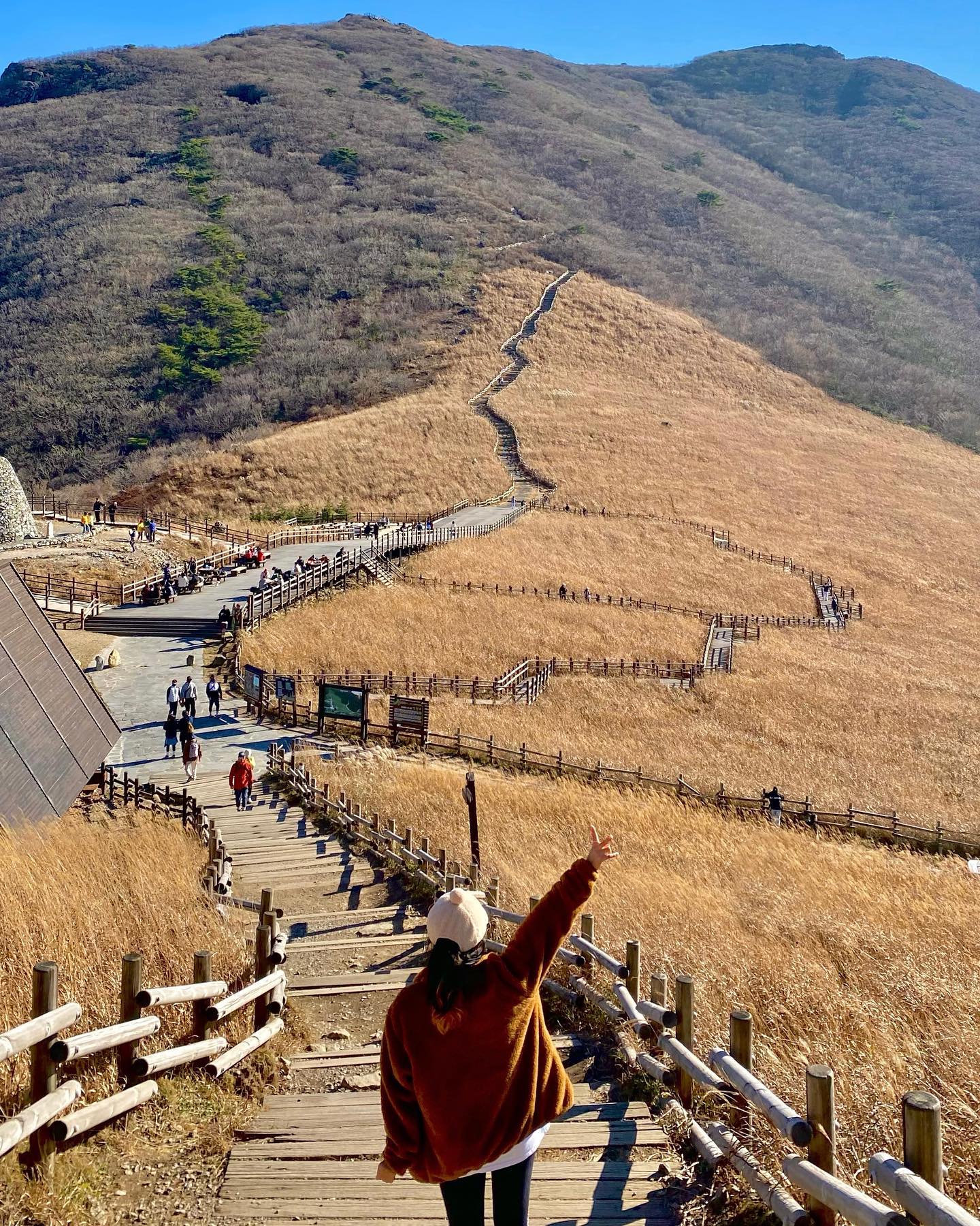 가을인지 겨울인지ʕ•ﻌ•ʔ
