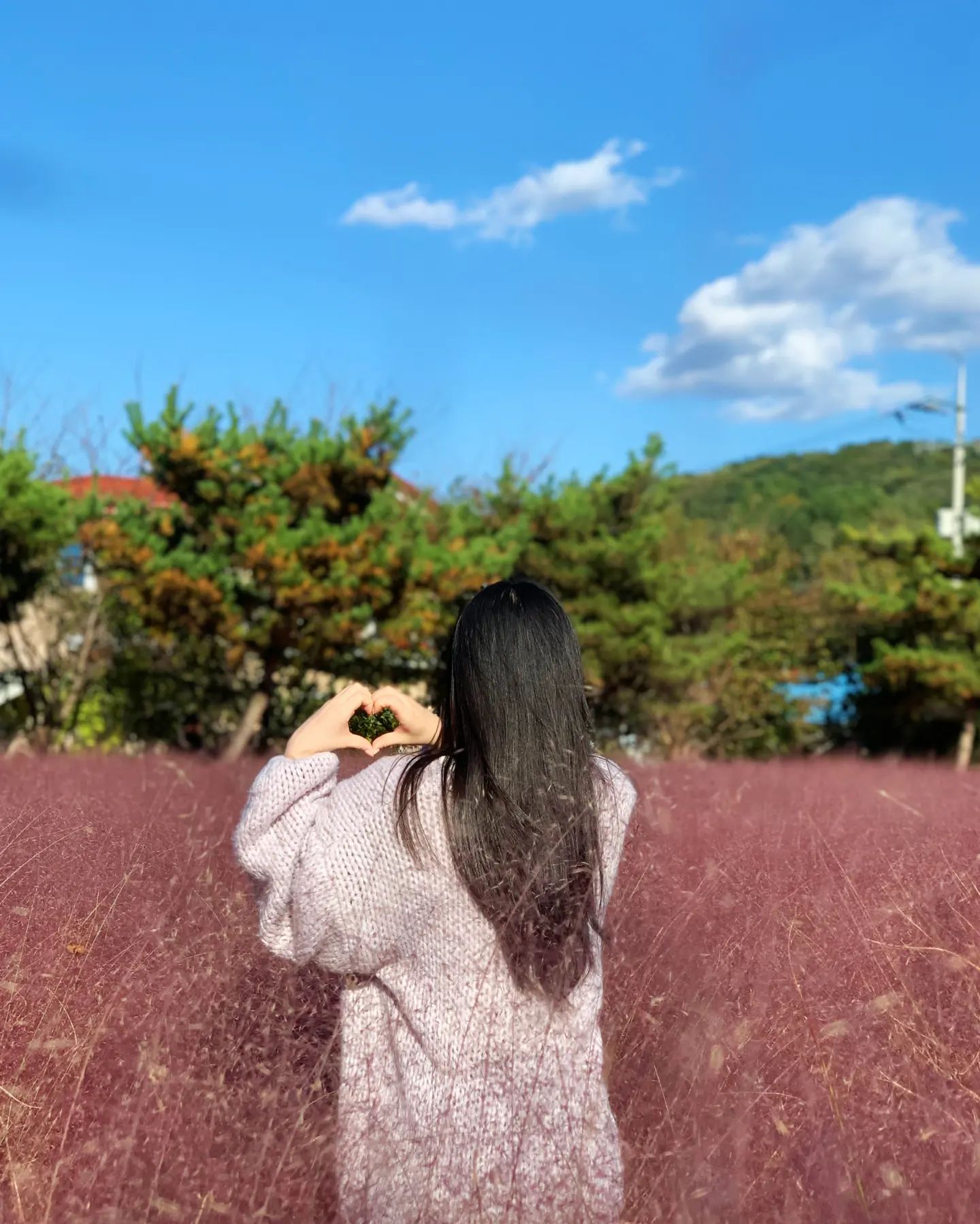 🩷
살짝 찌그러졌지만
하트는 하트!

핑크뮬리 또 보러
가고 싶다!!
.
.
.
.
.
#핑크뮬리