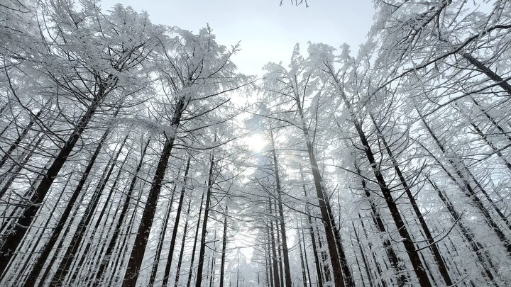 찬란했던 하루 🌬️❄️

겨울 스포츠는 보드만 타봤는데 
설산을 등산하는게 이렇게 매력적이라는걸
처음 알게 된 날 ☃️

정신이 맑아져서 모든 할 수 있을 것 같은
기분이 들었던 날🔥